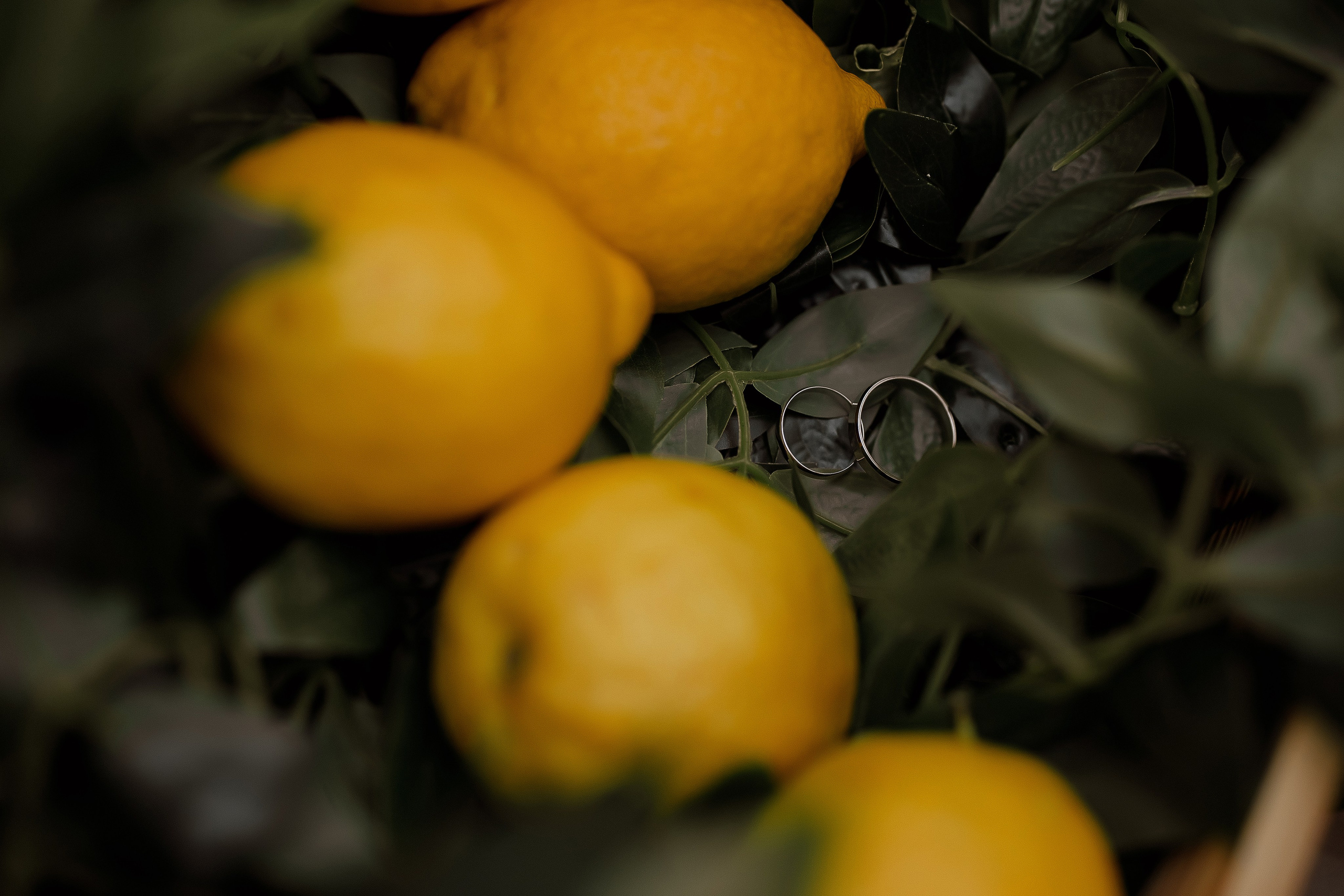 Свадебная съемка. Свадебный фотограф