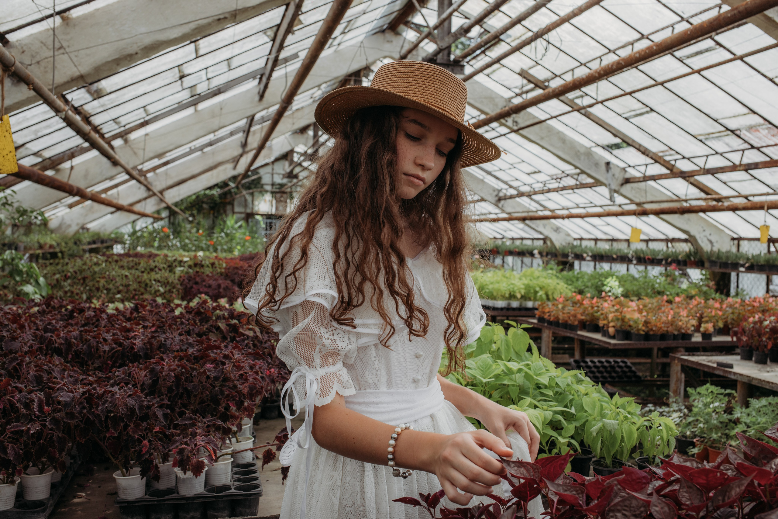 Оранжерея. Репортажный фотограф в Сочи Екатерина Вежливцева