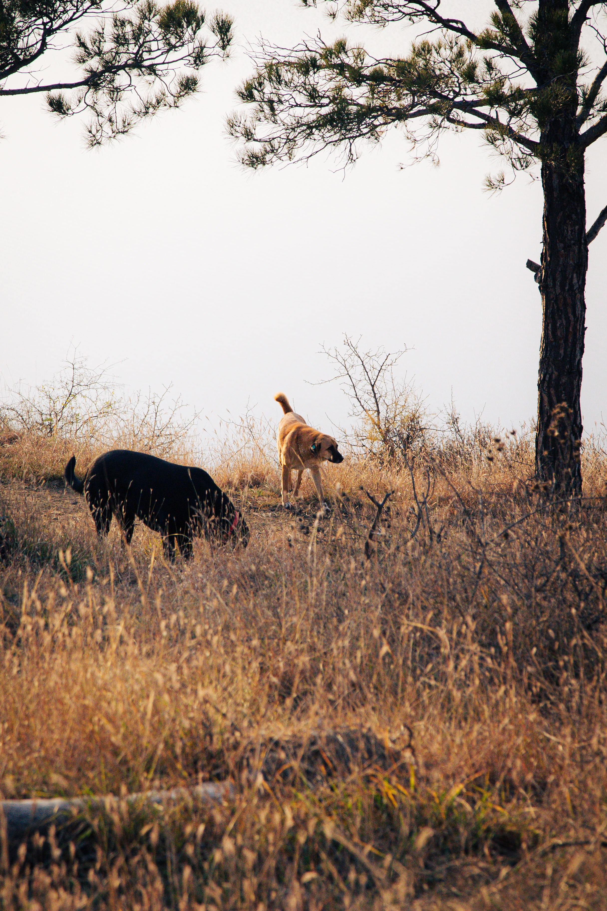 Lisi lake. Dmitriy [KCCC] is a pretty cool photographer