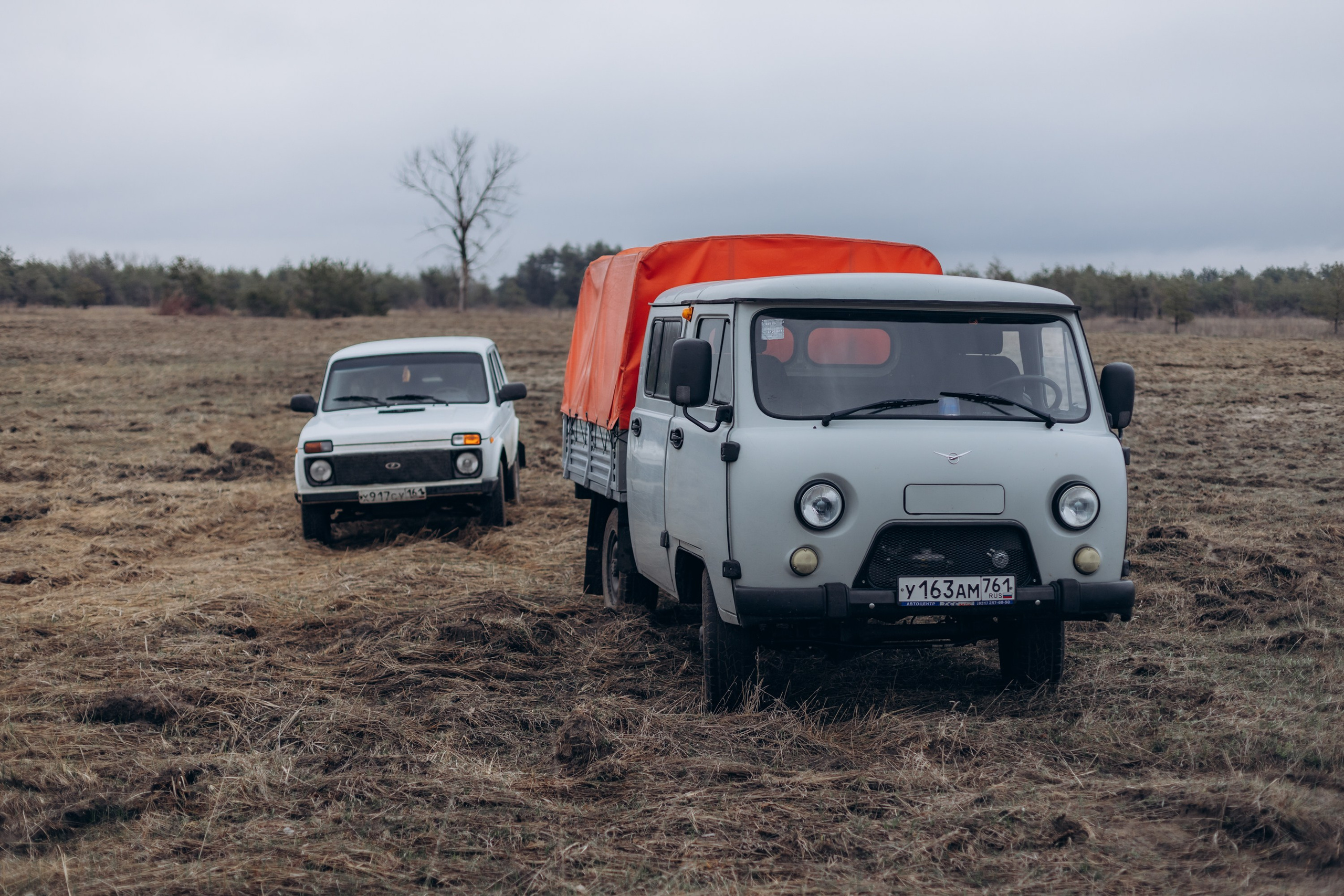 Акция «Лес будущего». Артём Панфилов — Свадебный и семейный фотограф в Ростове-на-Дону