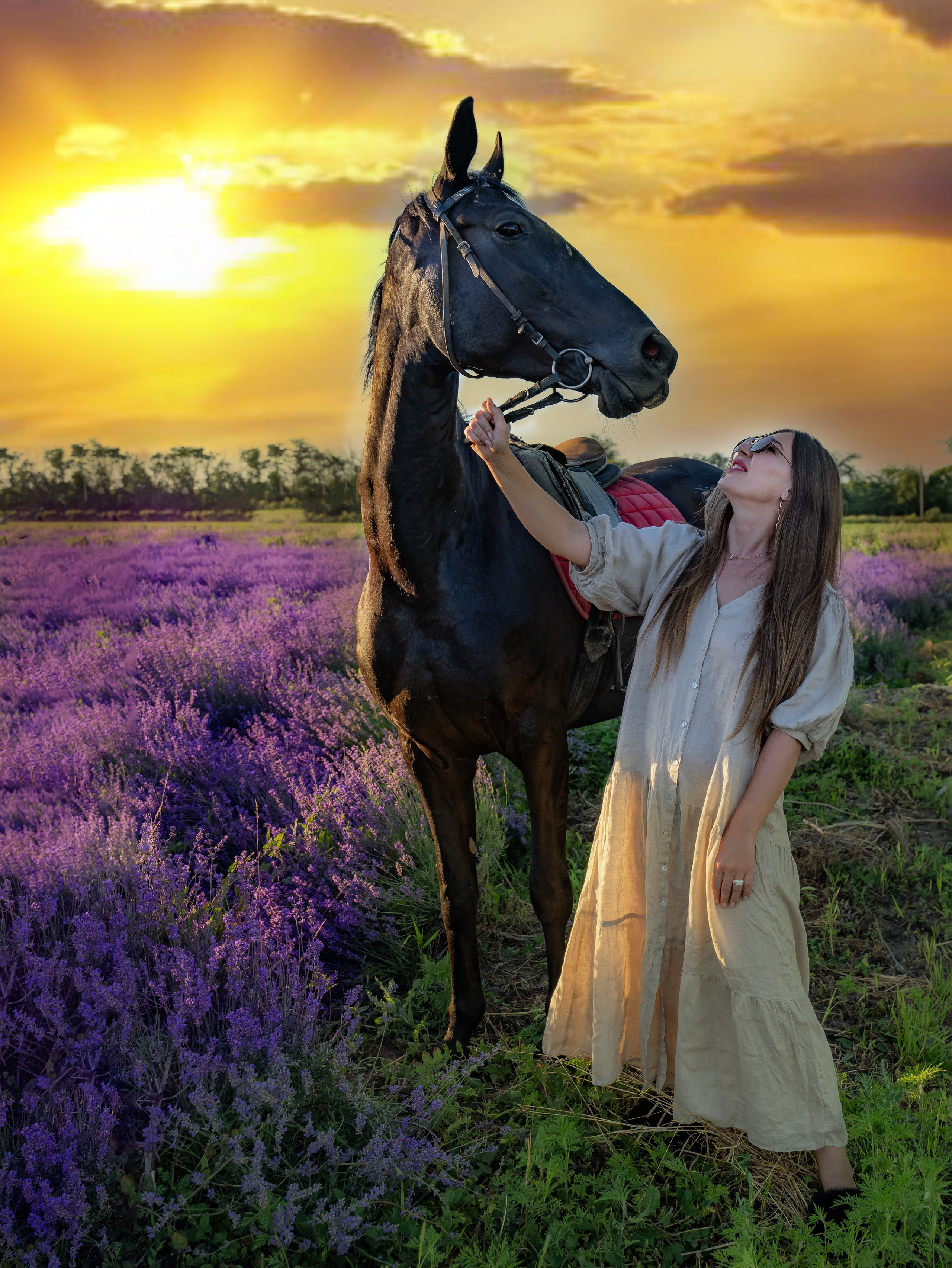 Лаванда. Главная