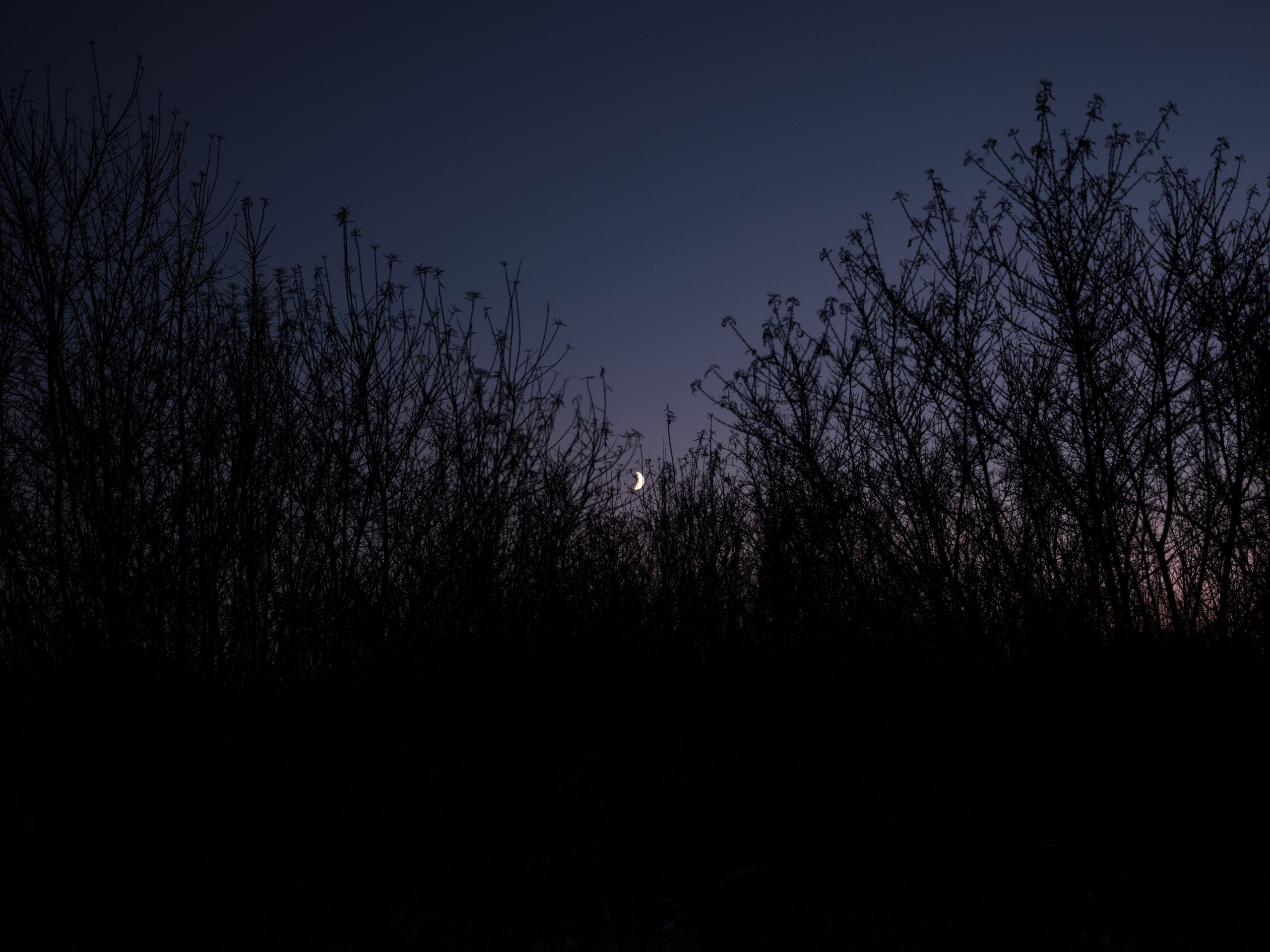 Крошечка Хаврошечка (Ирочка). Андрей Иванов. фотографические практики