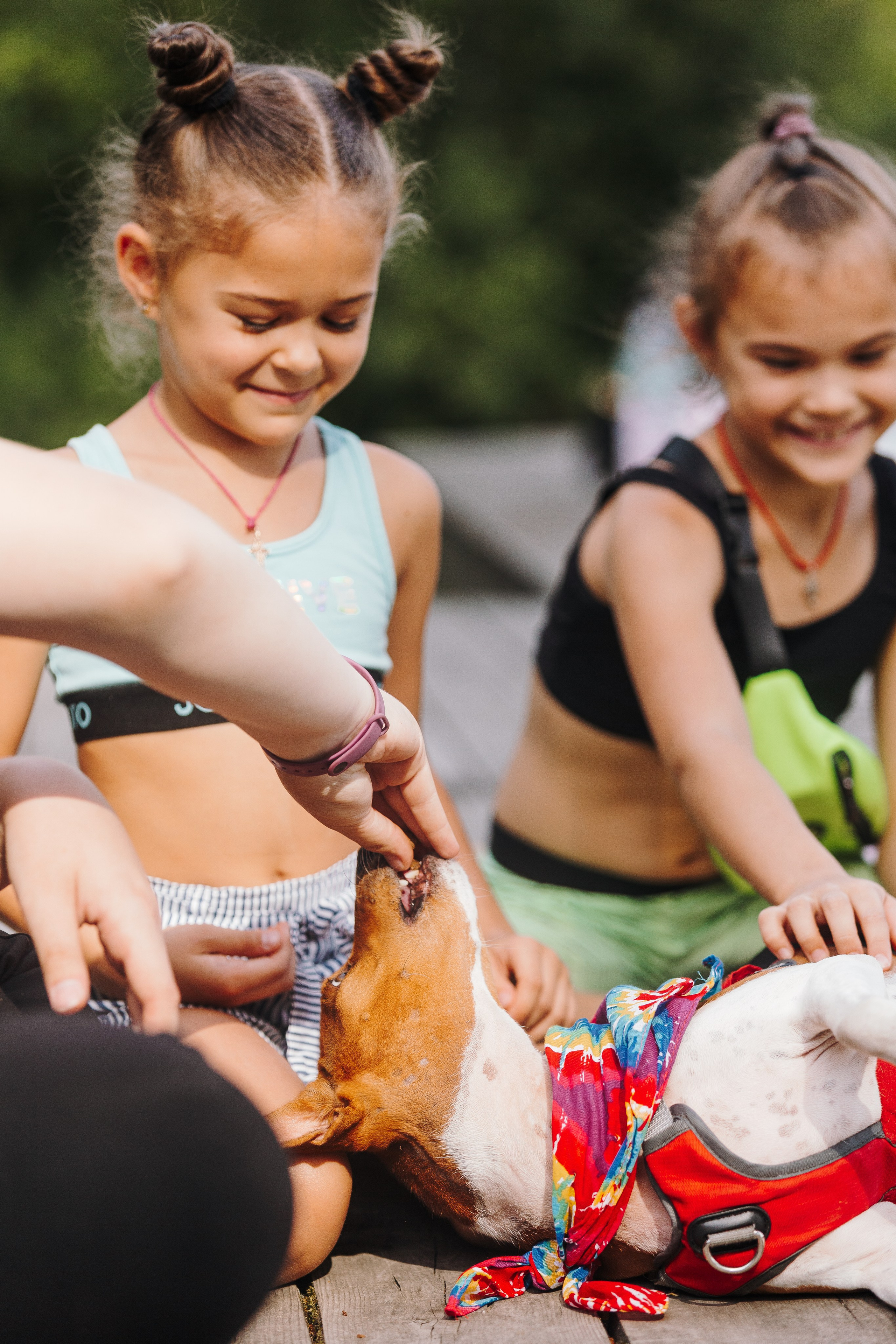 Petshop Sup day. Фотограф анималист Кристина Карпова, Москва