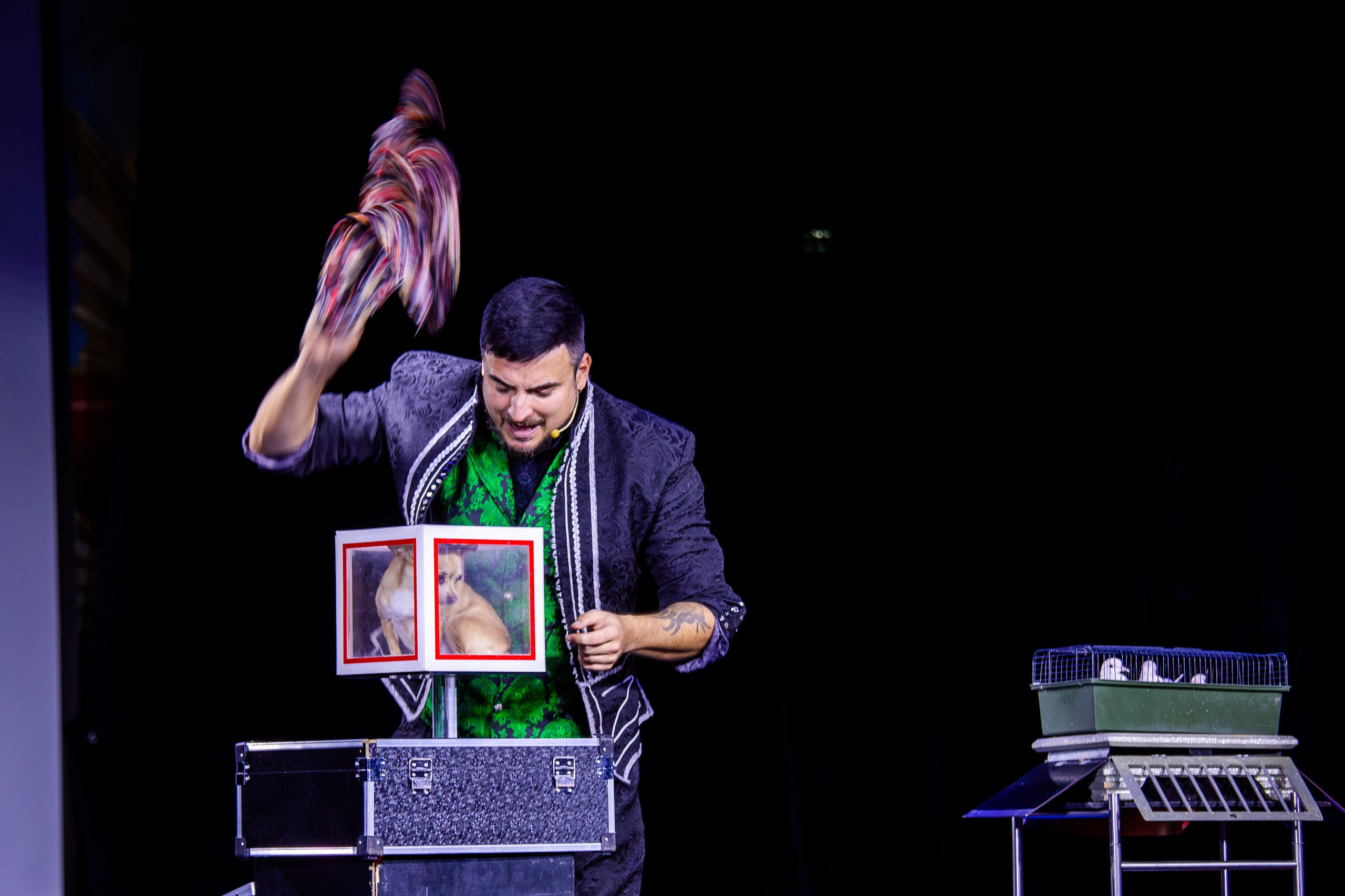 Палитра добра. Репортажный, семейный, свадебный, портретный фотограф