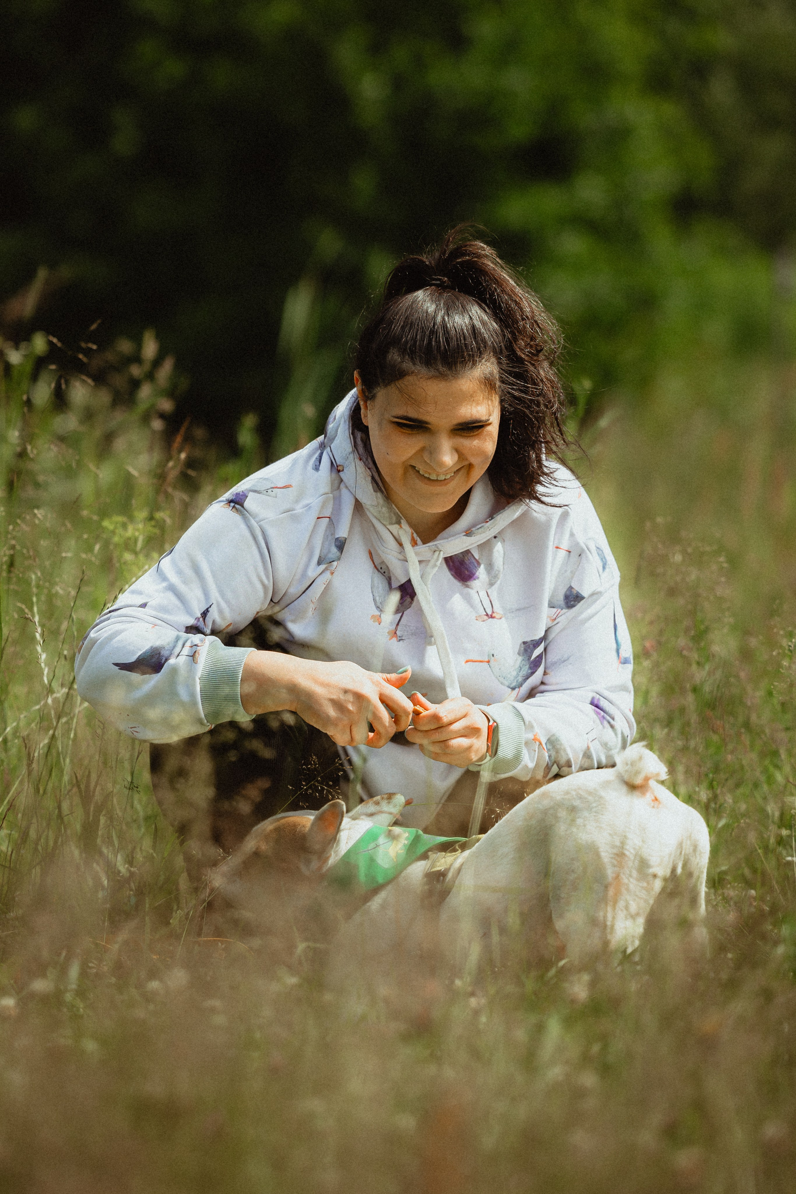 Выездной дог-тренинг от школы «Шерсть имею»
