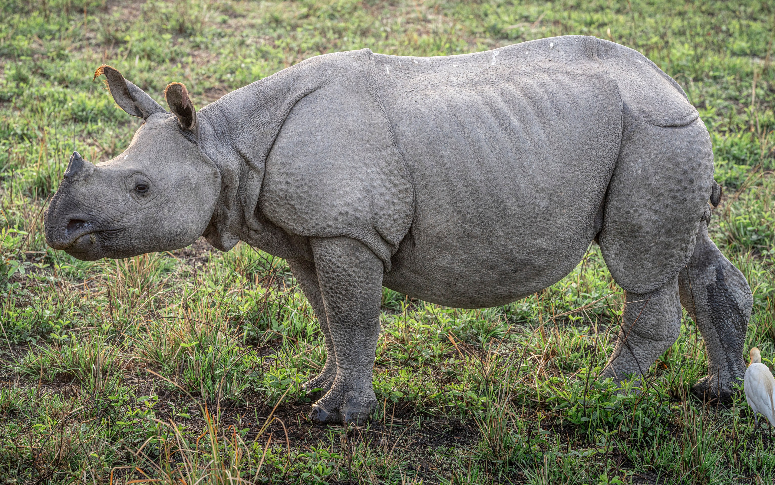 India travel. Фотограф Сергей Танков