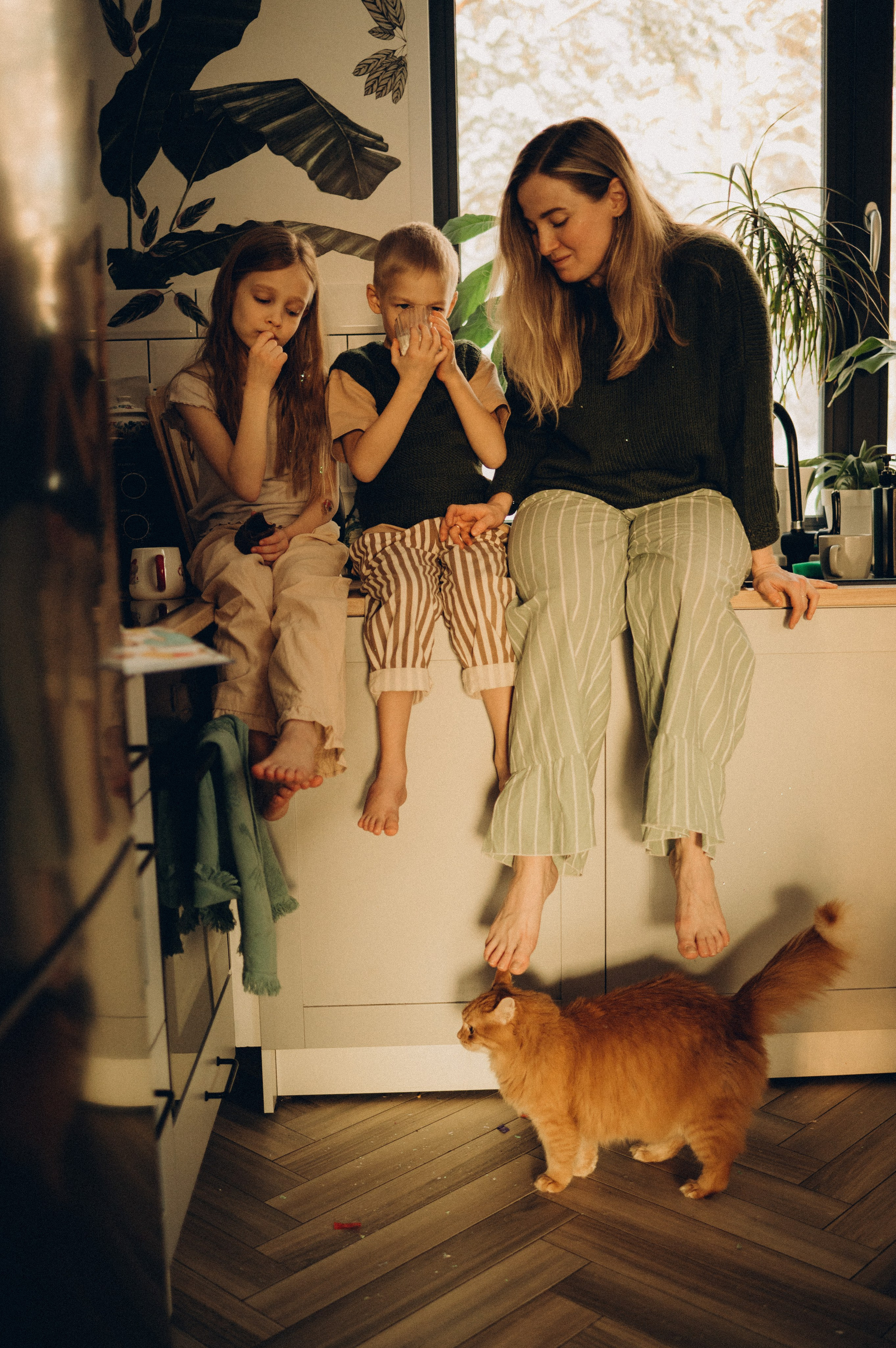 Дома. Фотограф Алиса Чечина. Калуга. Товарково