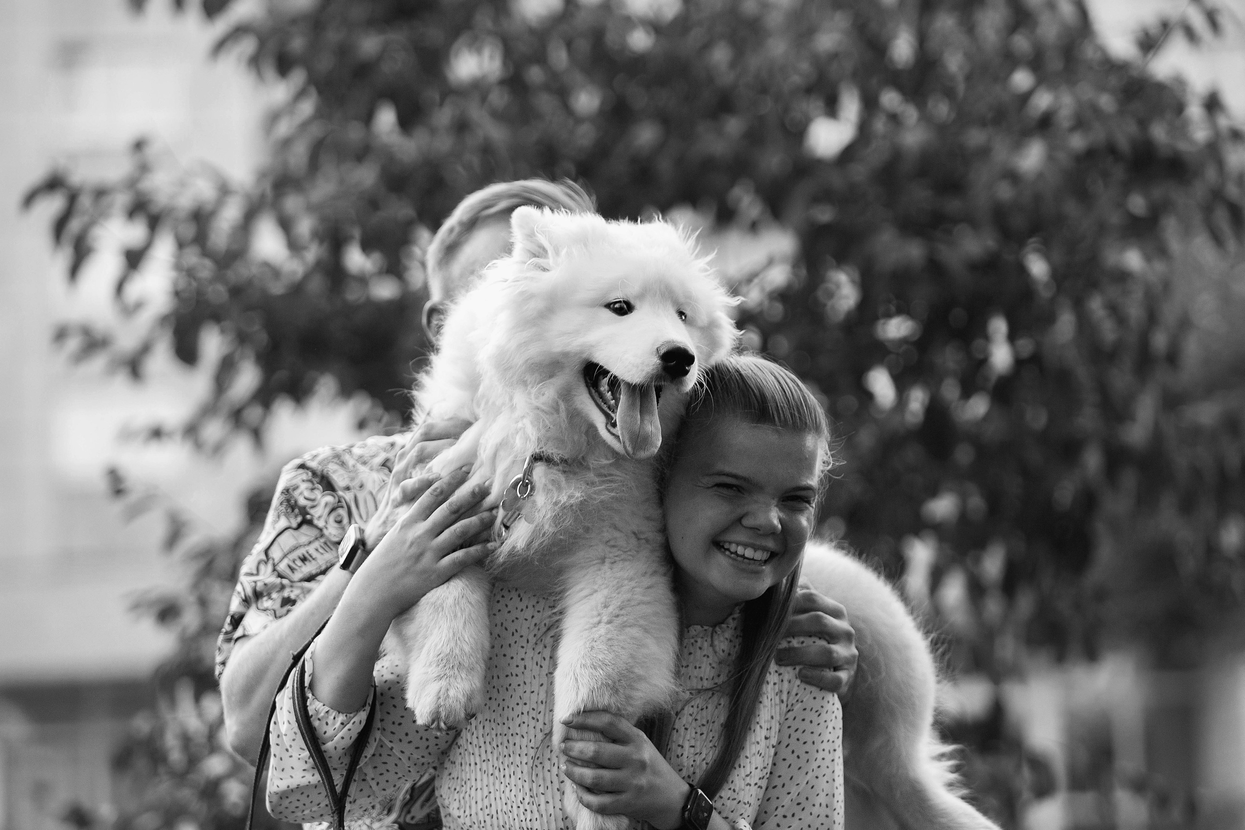 Анастасия, Евгений и самоед Ройс. Https://moshkovaphoto.ru/