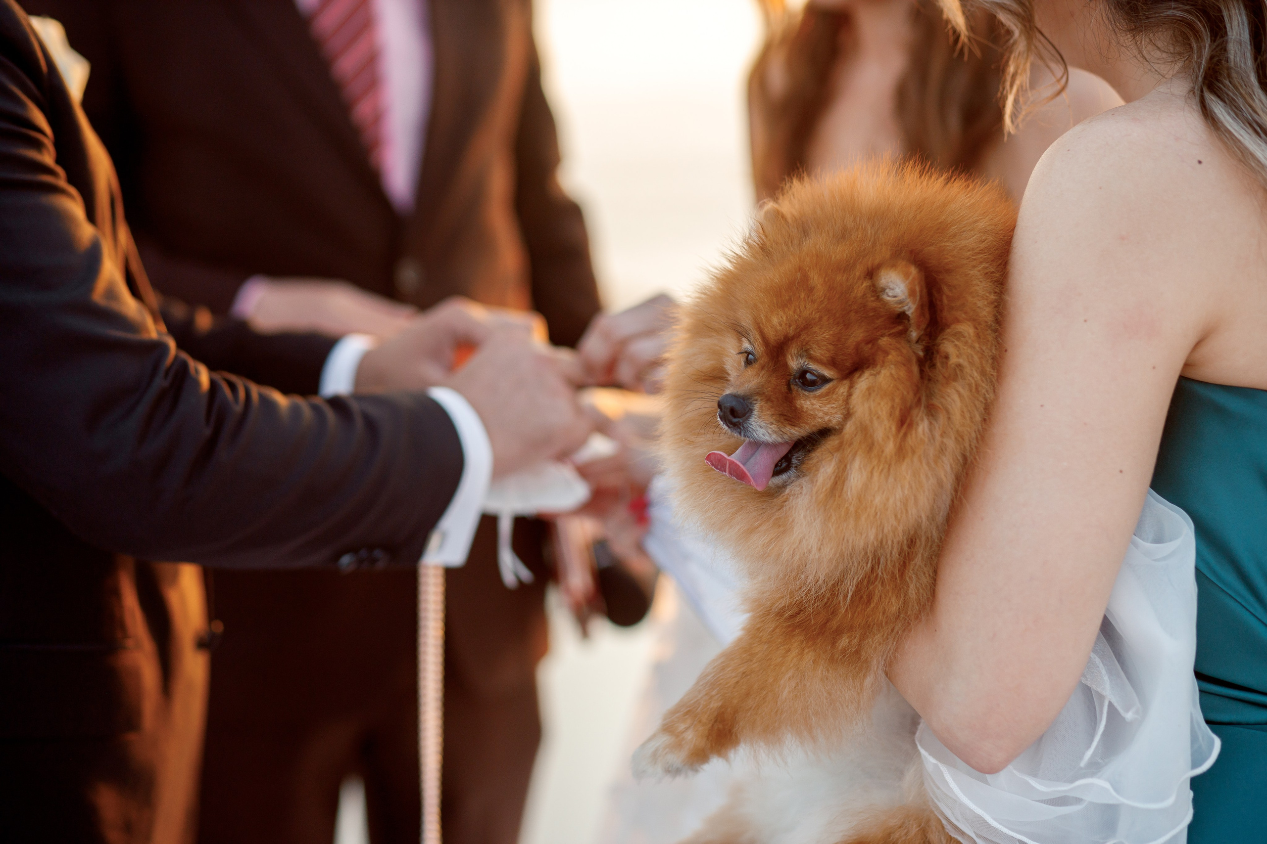 Свадьба с гостями на Пхукете. Фотограф на Пхукете в Таиланде
