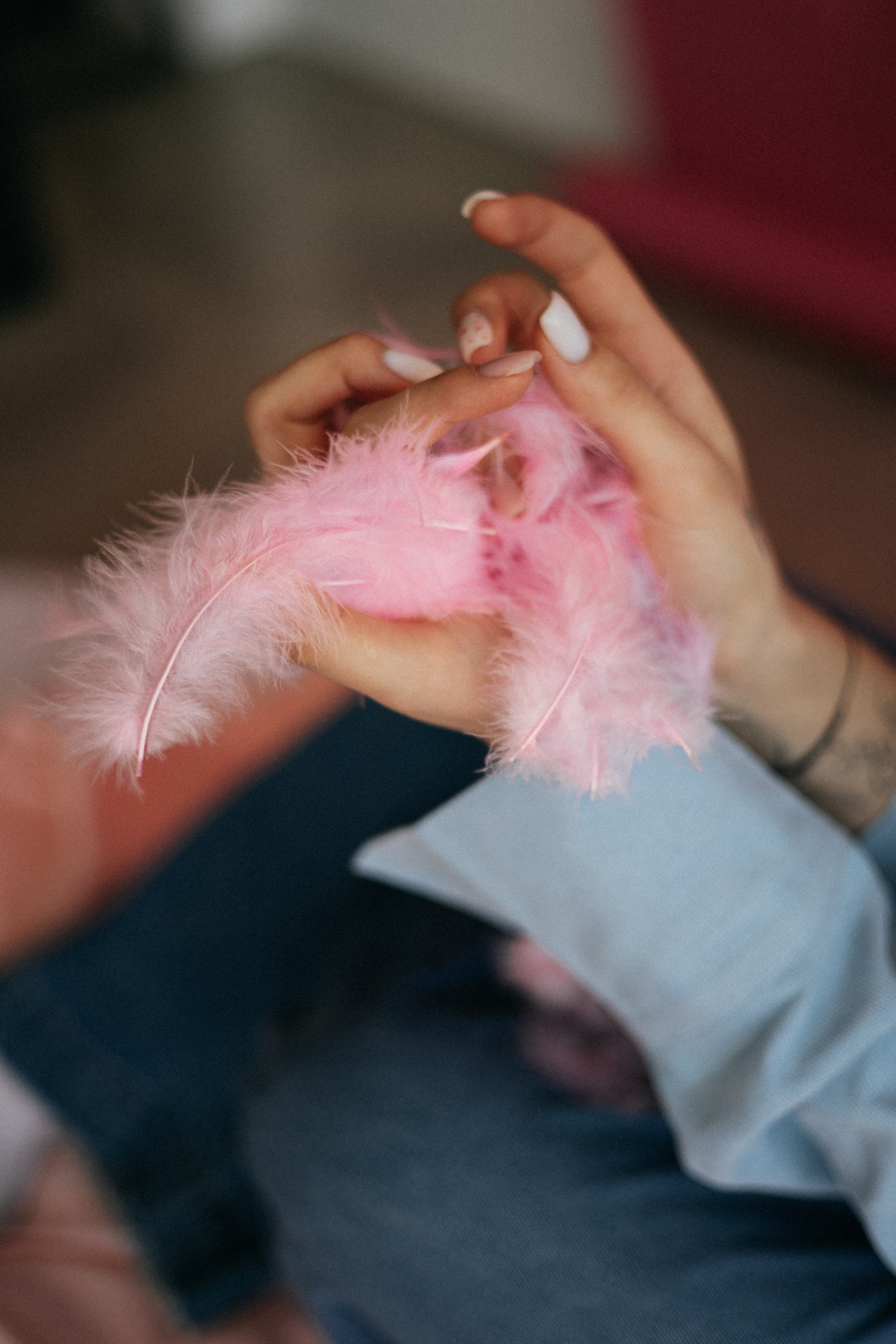 Виола. Виктория Файфер| фотограф Новосибирск