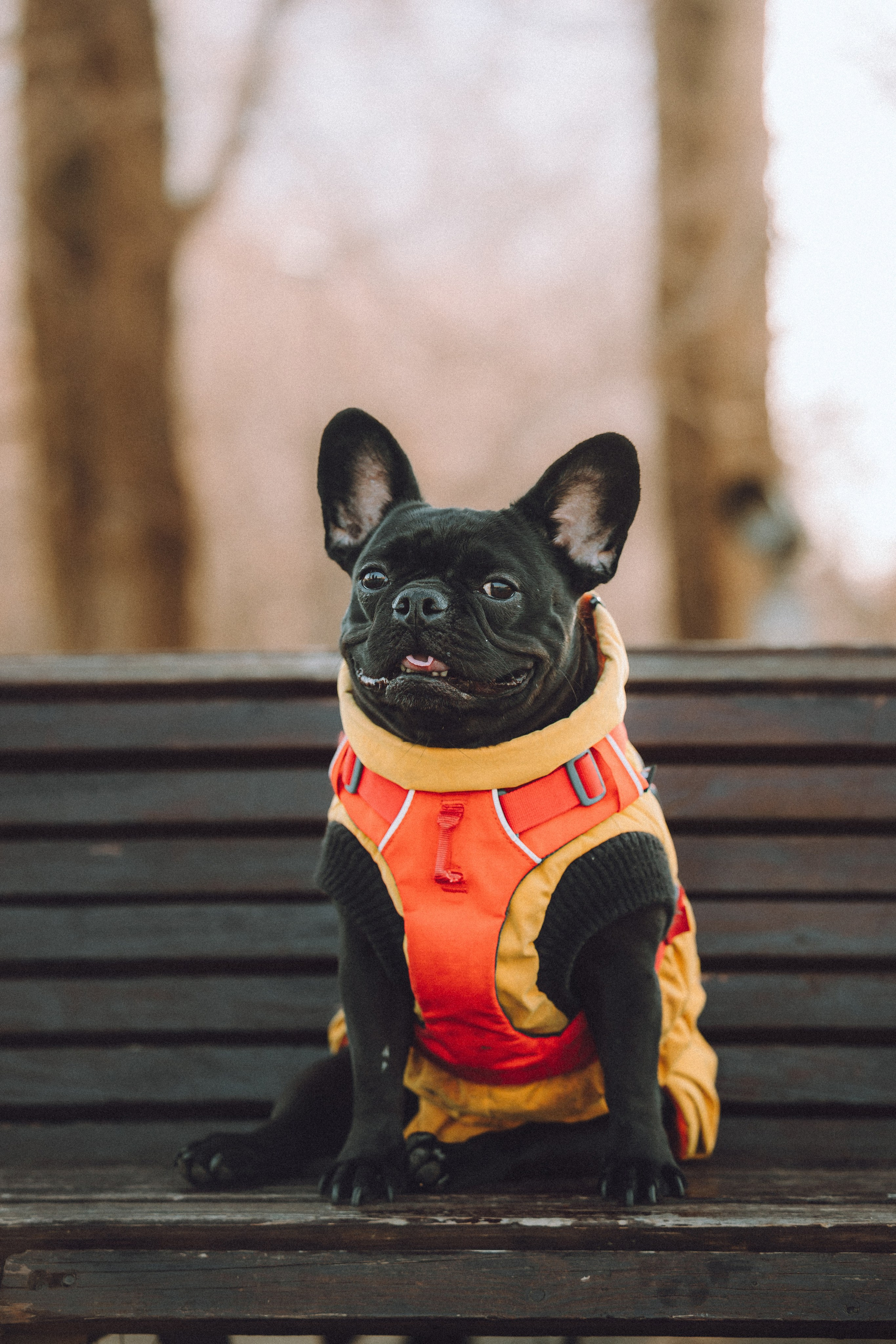 Саша, Дима и Шпуля