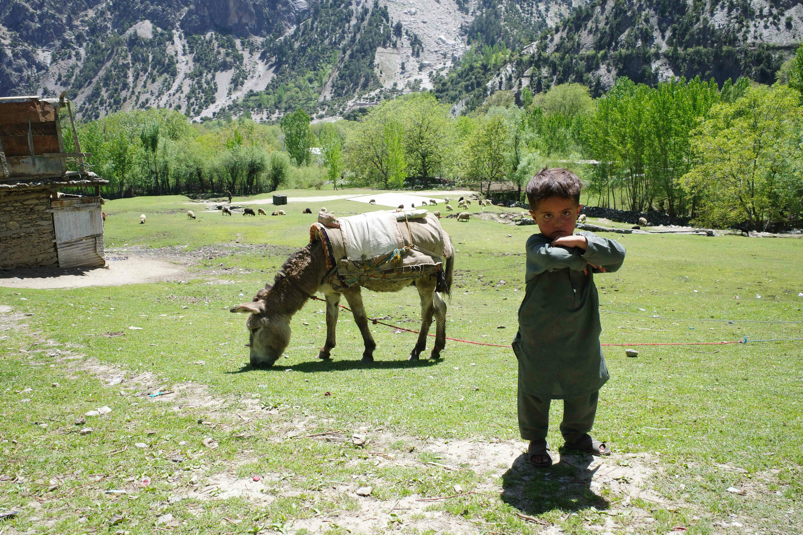 Young Shepherd, Bumburet Valley