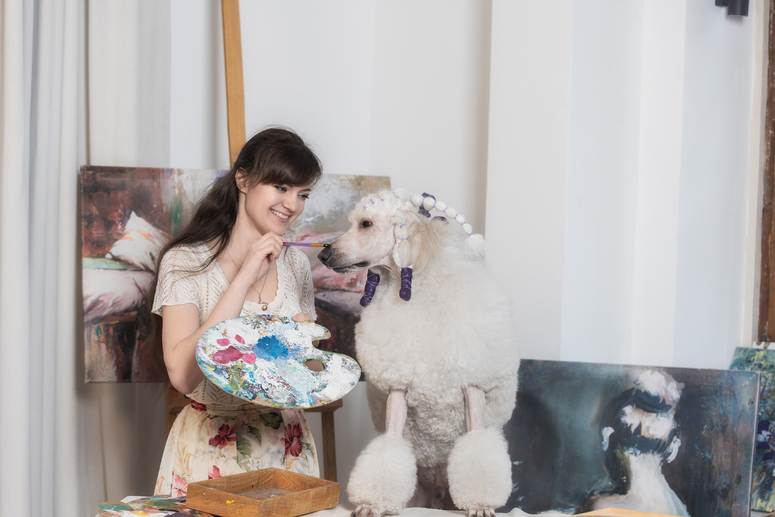 Собаки и не только. Фотограф Алена Звездина