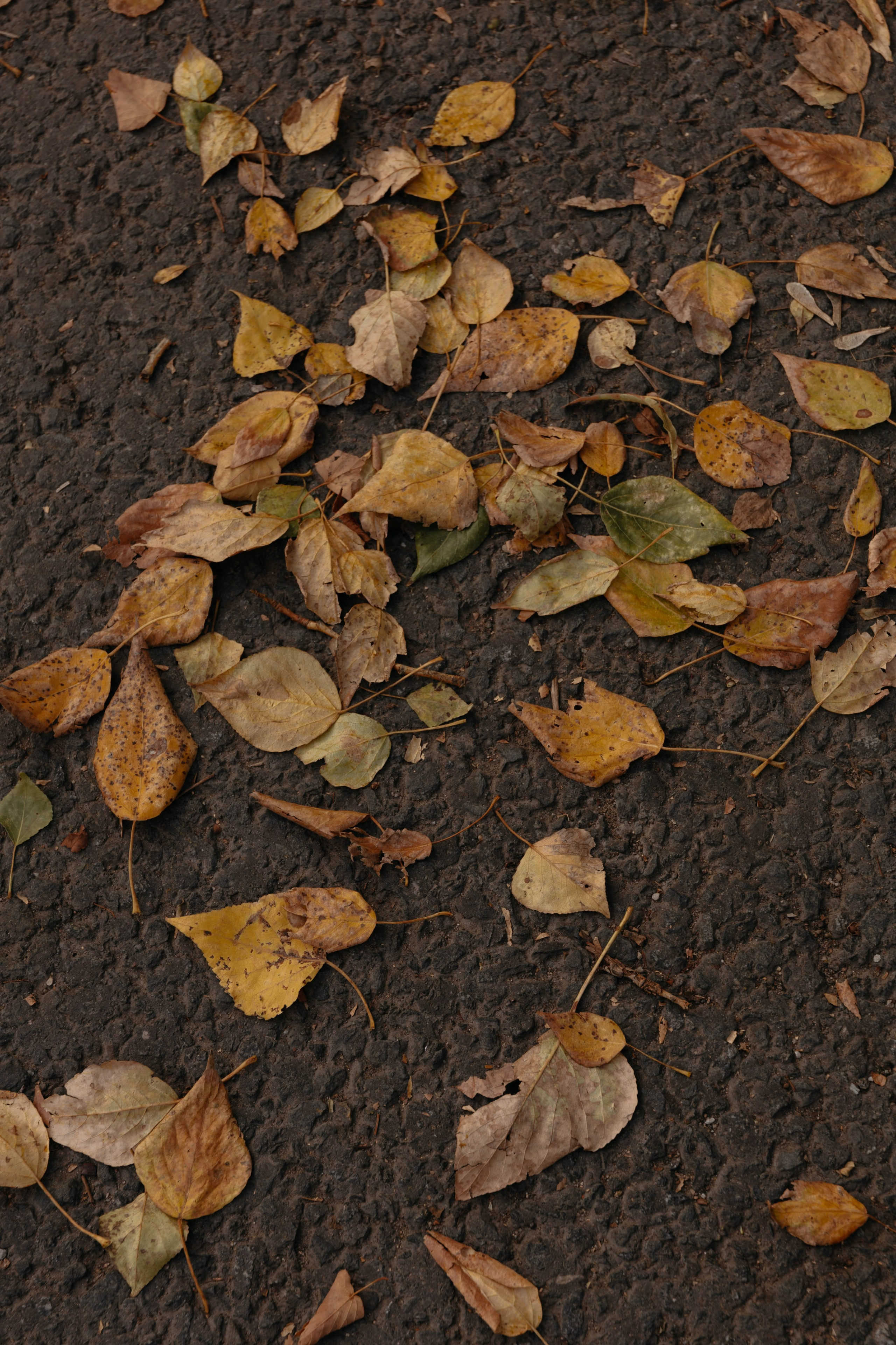 А & Ю. Женский и свадебный фотограф Москва Елизавета Перова