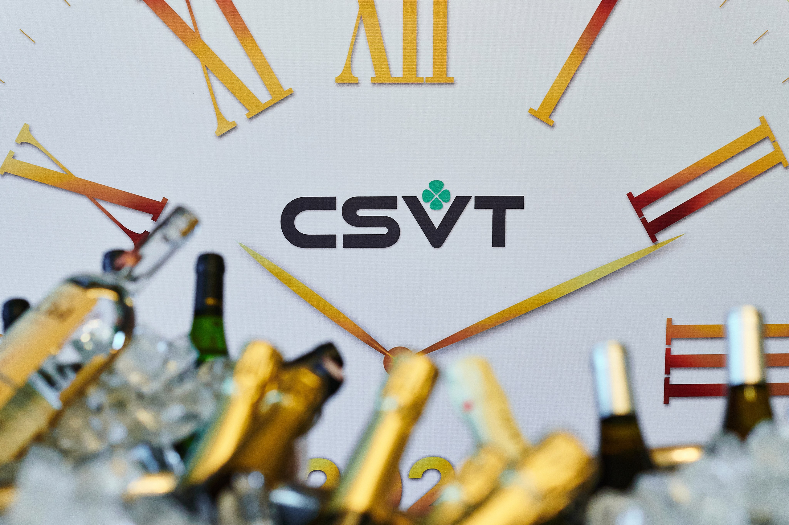 Корпоратив CSVT — 2023. Goganaft.ru — Репортажный фотограф в Москве Георгий Коненков