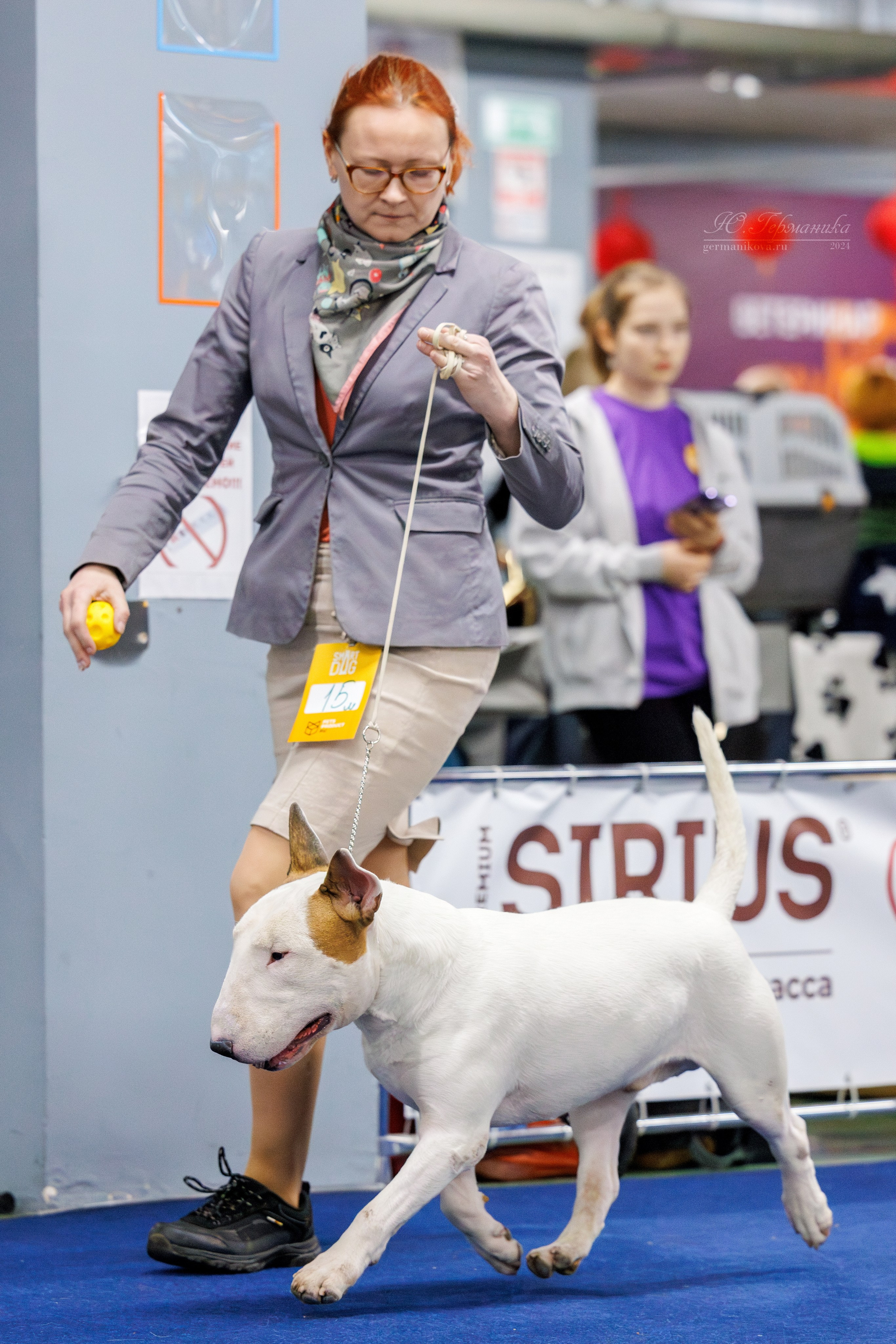 Крокус 21.12.2024,Сфера 29.12.2024. Фотограф-анималист Юлия Германика