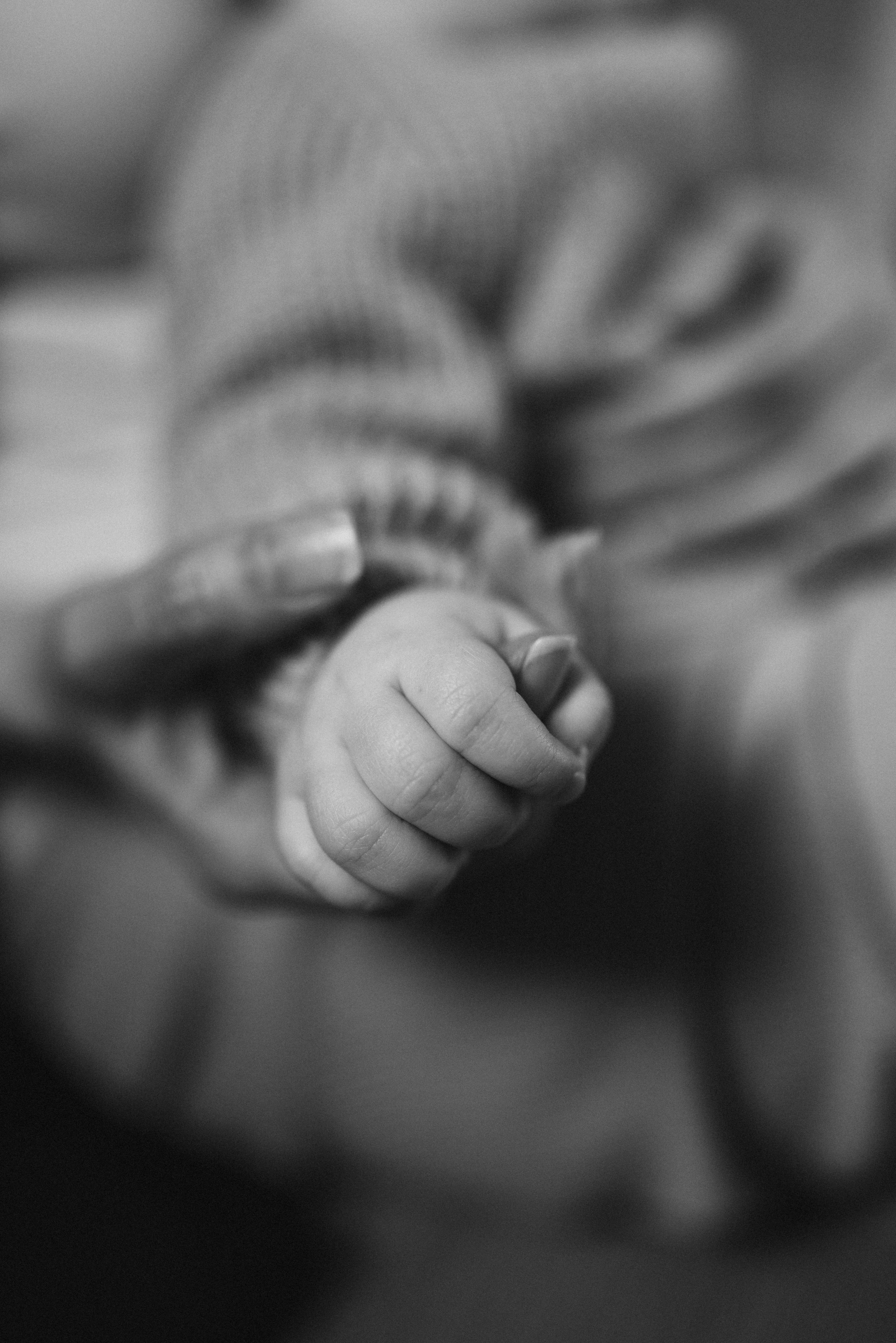 Варюша и Вика. Семейный и детский фотограф в Щелково Алена Дробот