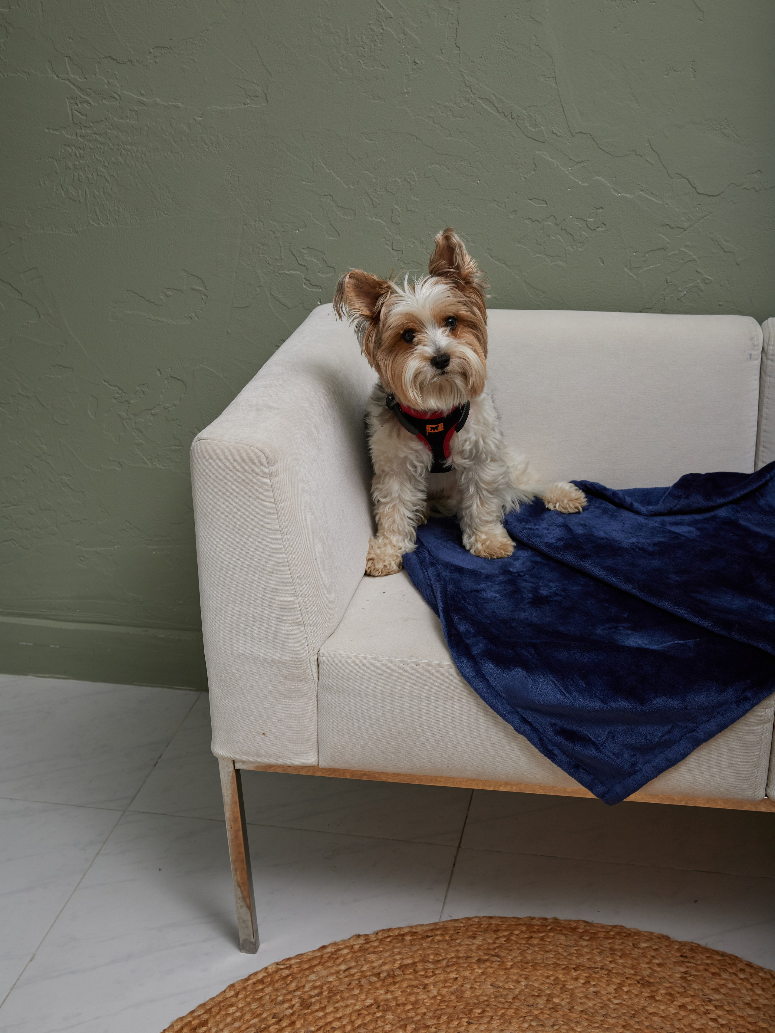 Лежанки. Фотограф