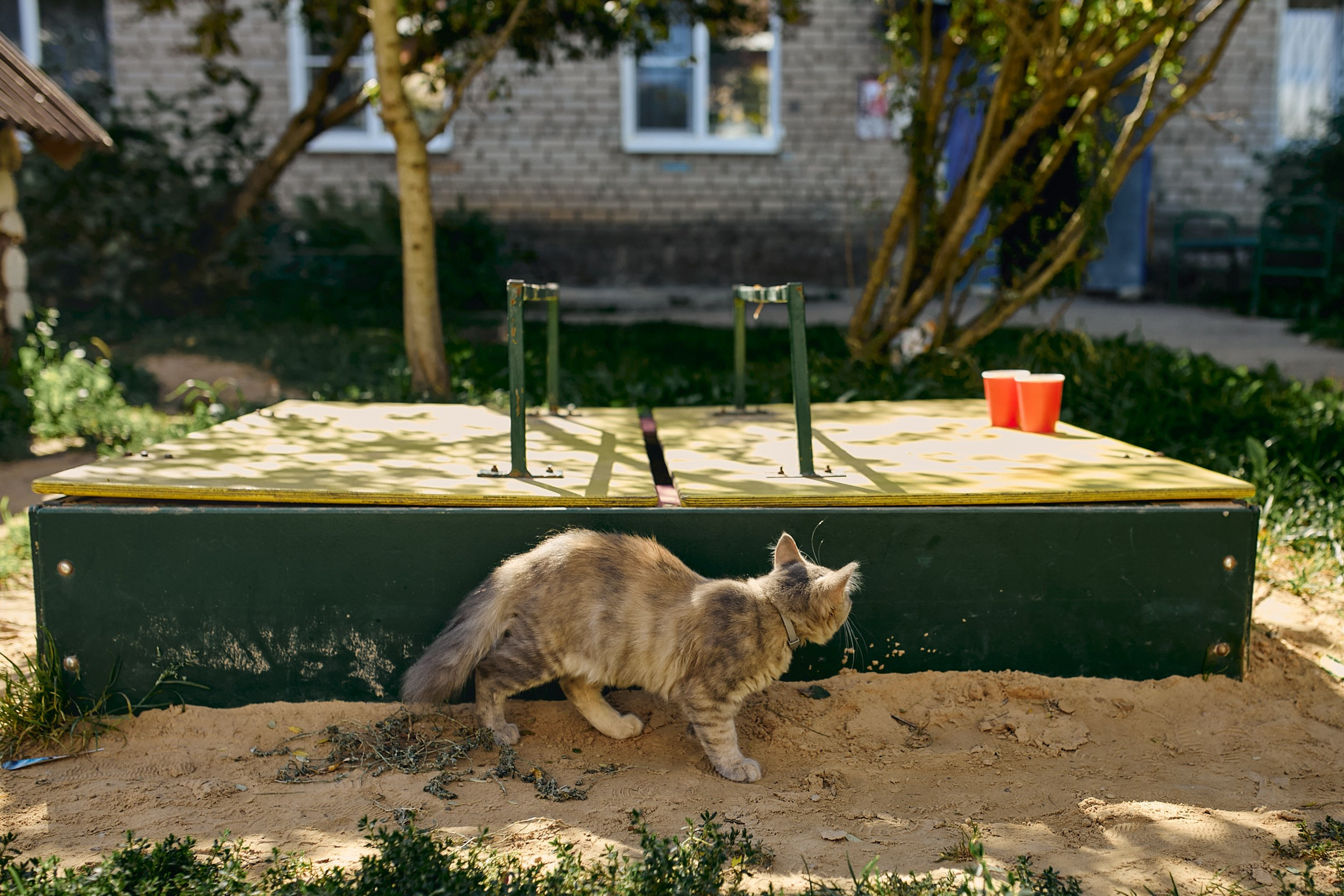 Соня и её 1 сентября 2025. Детский, семейный и школьный фотограф Смоленск Москва Влад Старов