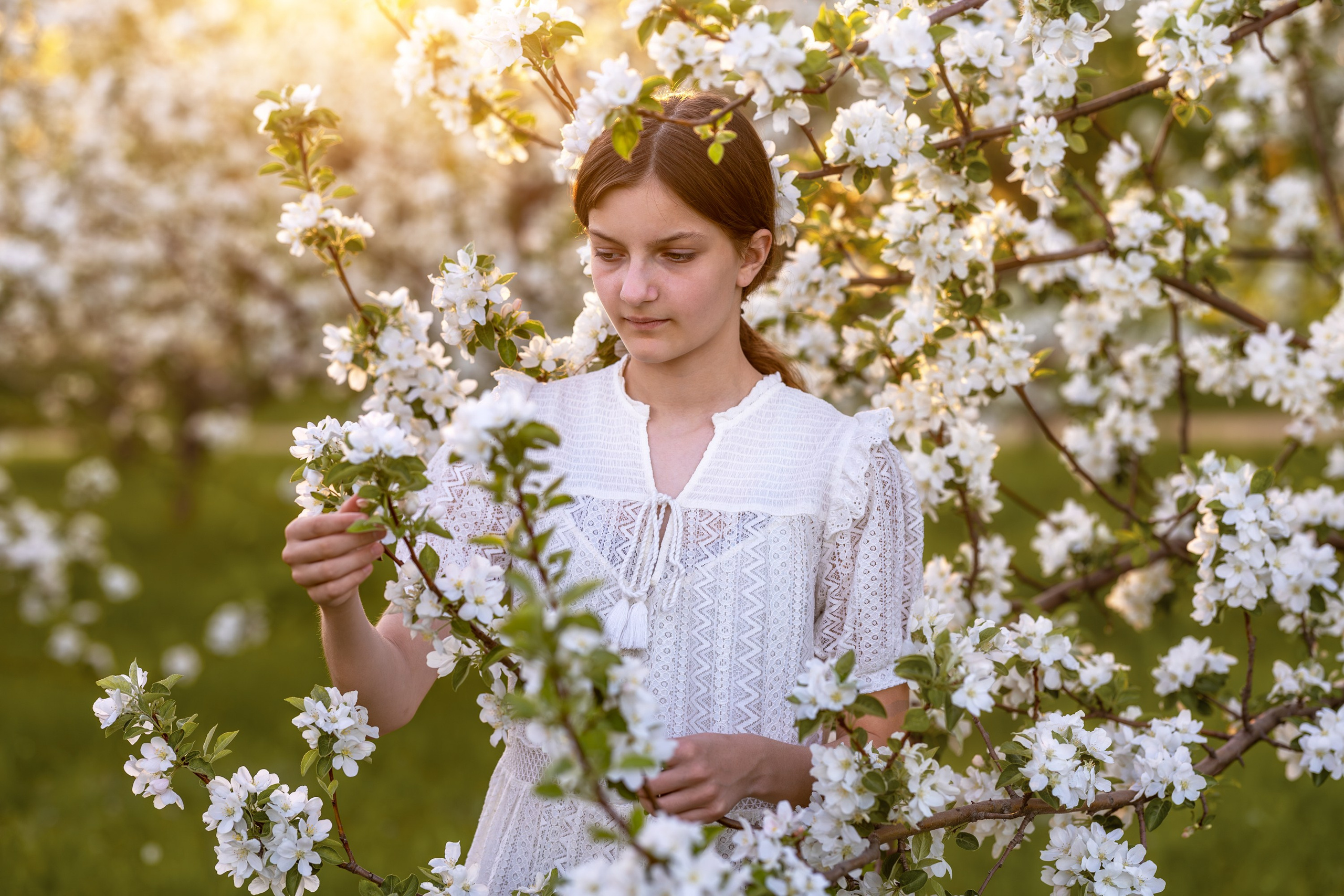 Яблоневый сад. Семейный и детский фотограф в Красноярске, Дивногорцева Светлана