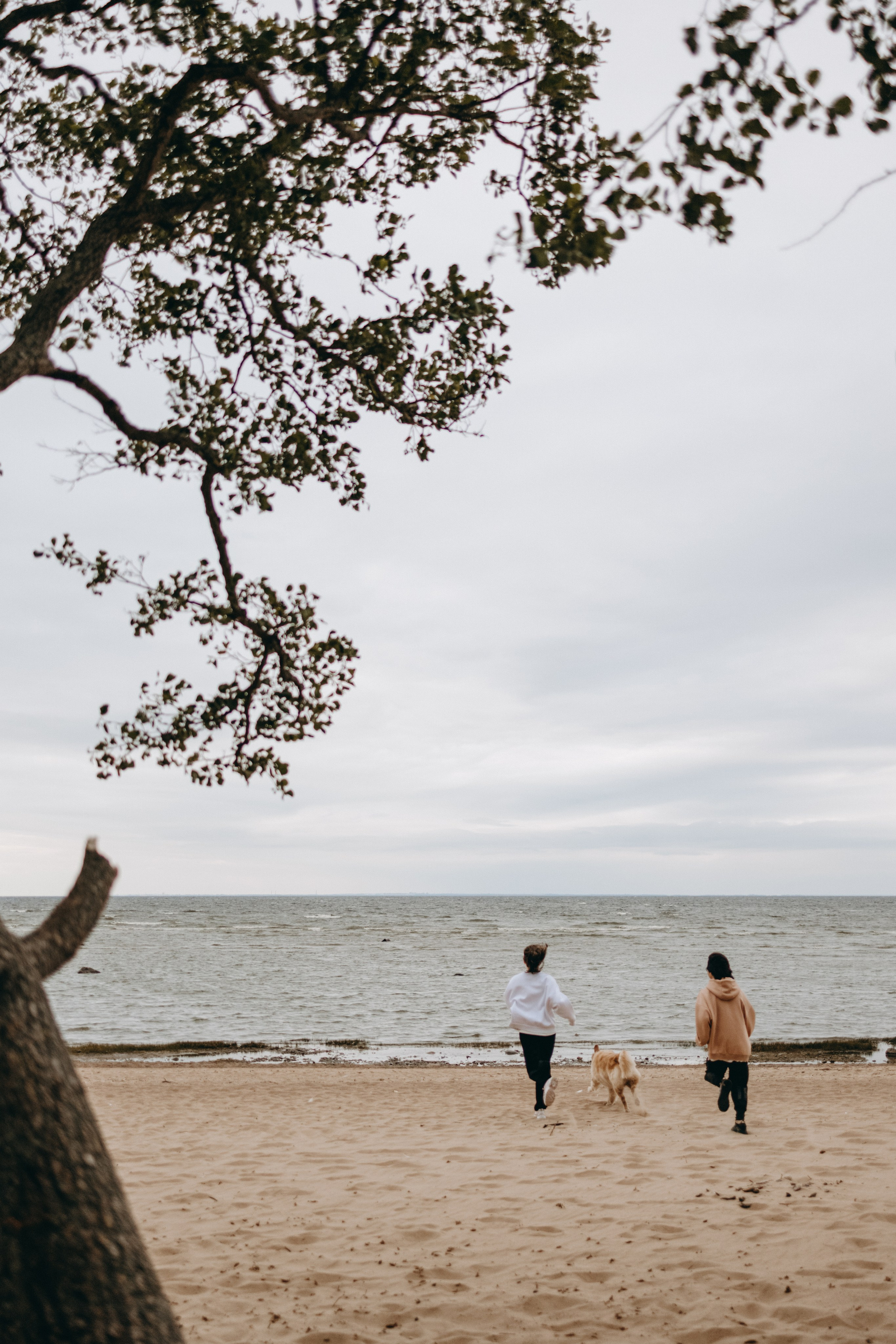 Фоси и его семьи. Фотограф — Анималист | Санкт-Петербург
