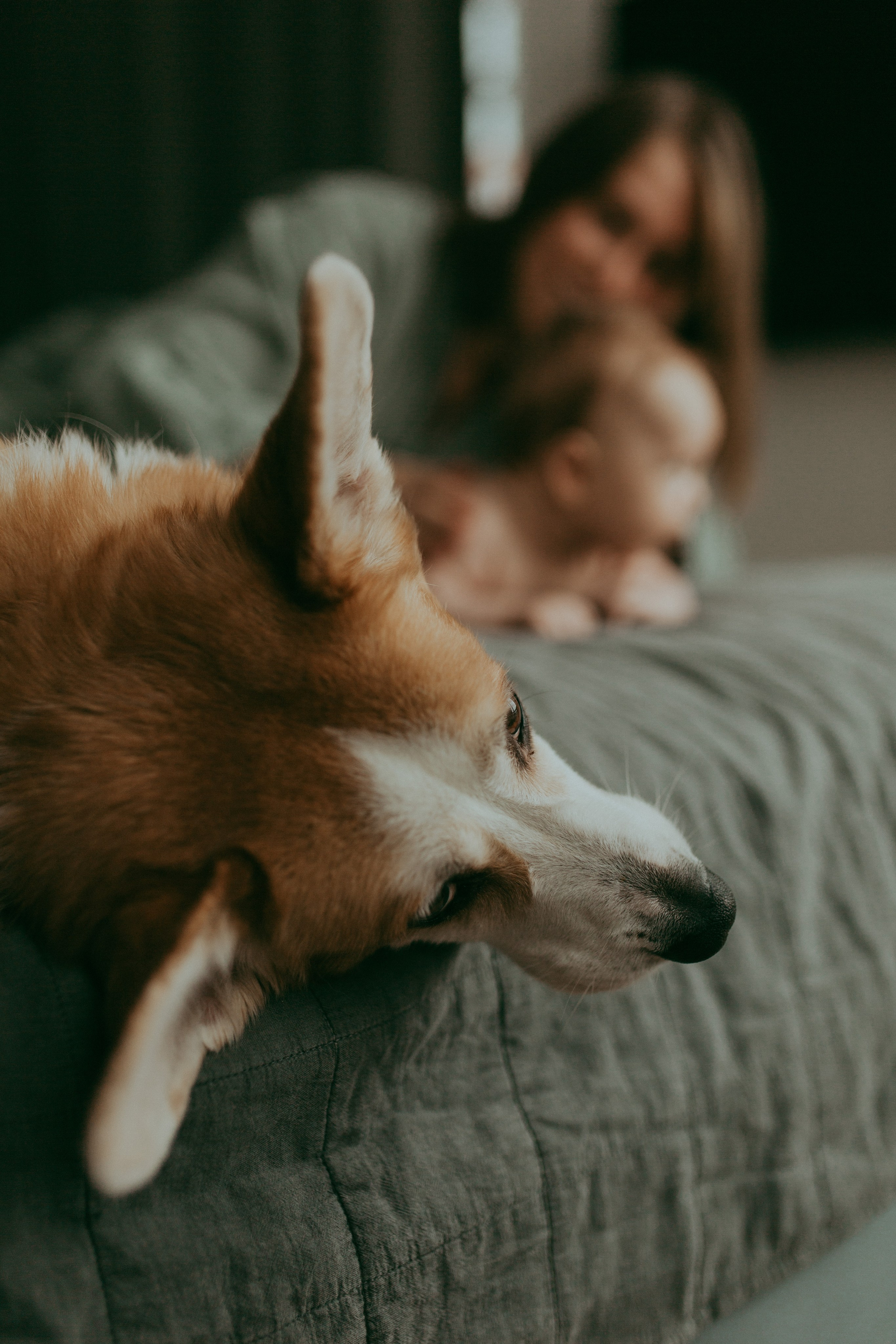 Феде 2 мес. Семейный фотограф Санкт-Петербург Елена Корытцева