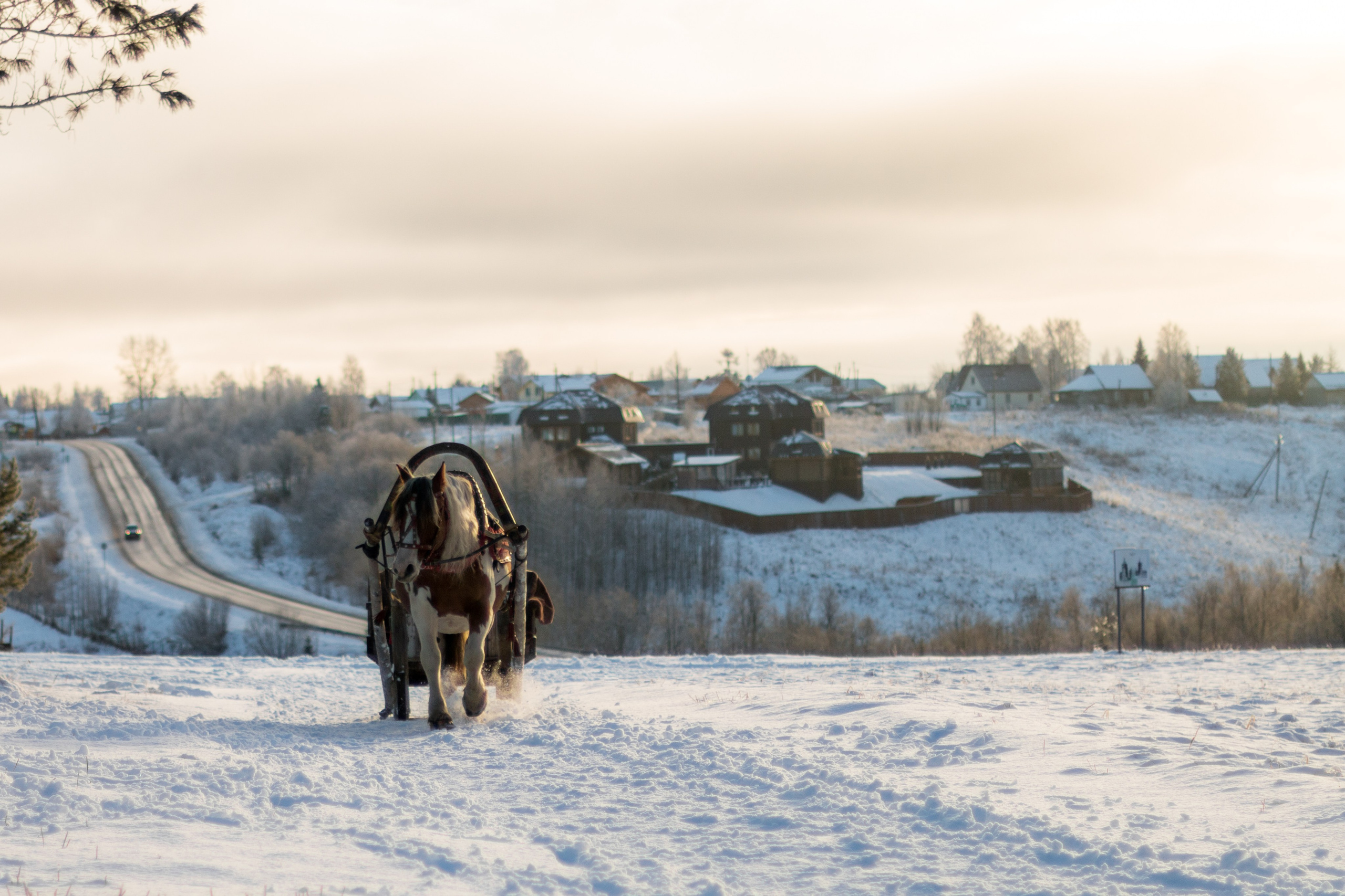 Русский Север, Малые карелы. Фотограф в Сочи