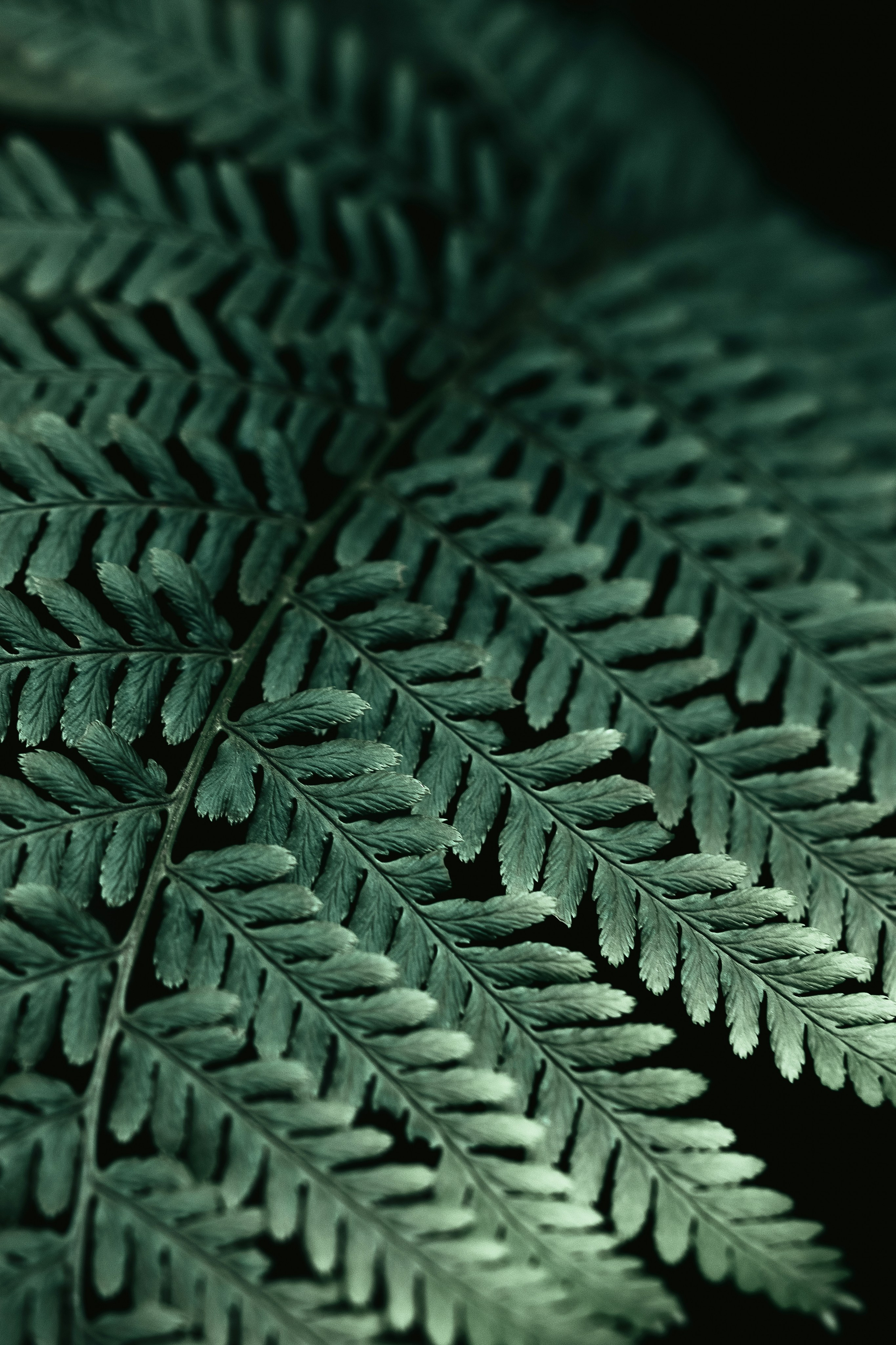 Жизнь. Фотограф Алматы | Весь мир — Никита Колодин