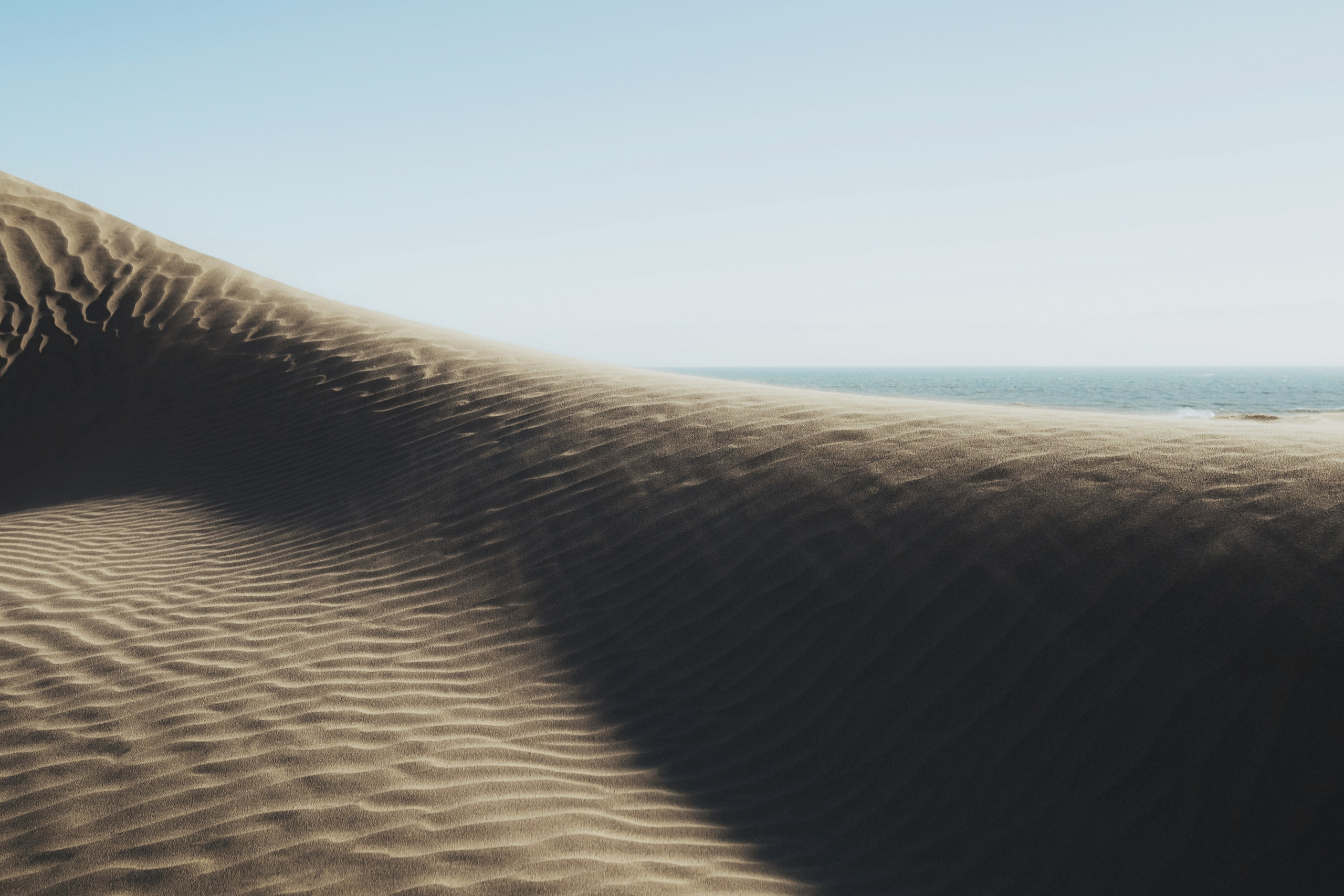 Жизнь. Фотограф Алматы | Весь мир — Никита Колодин