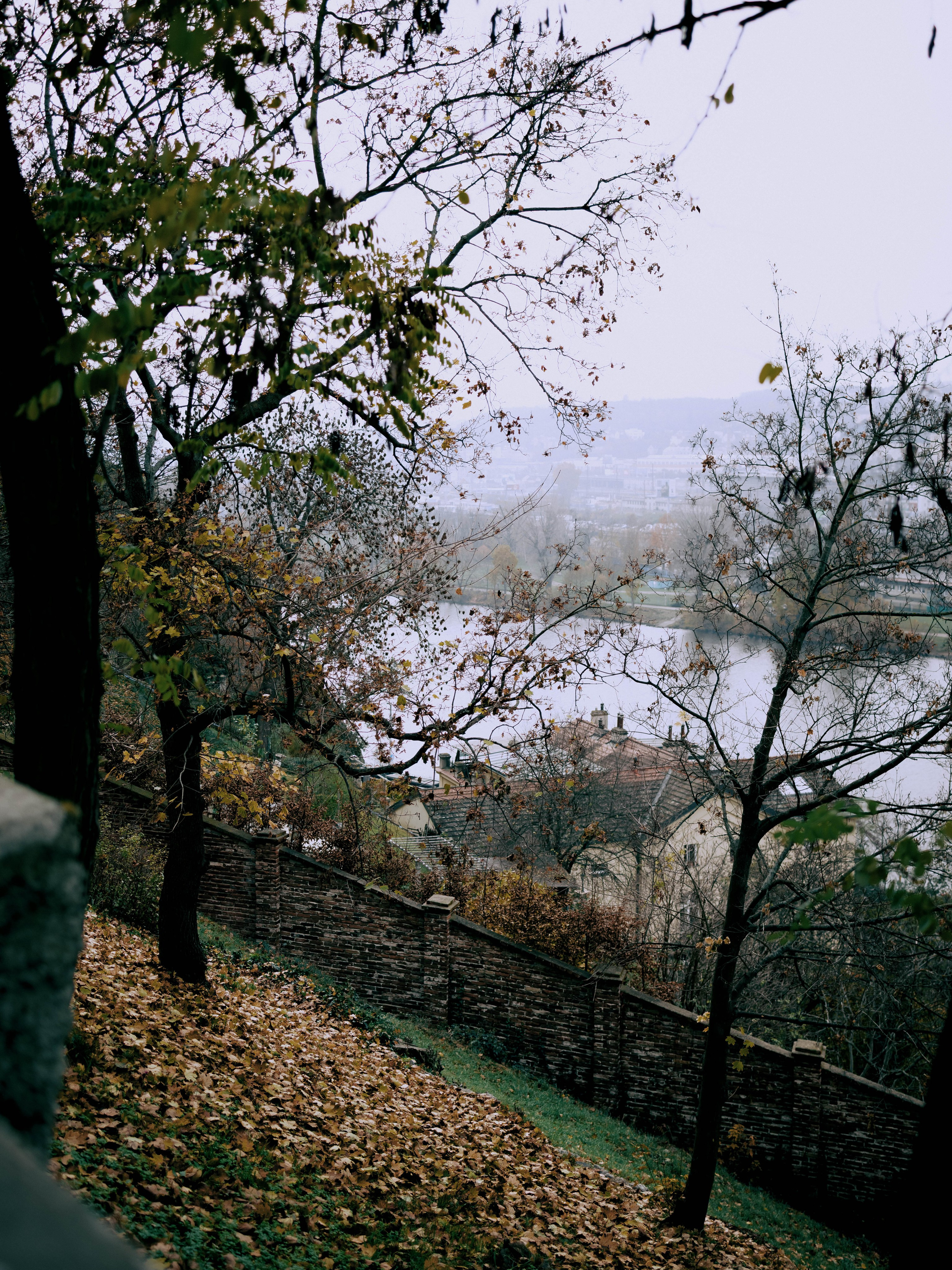 Hamdam. Photographer in Prague Alexander Pivovarov