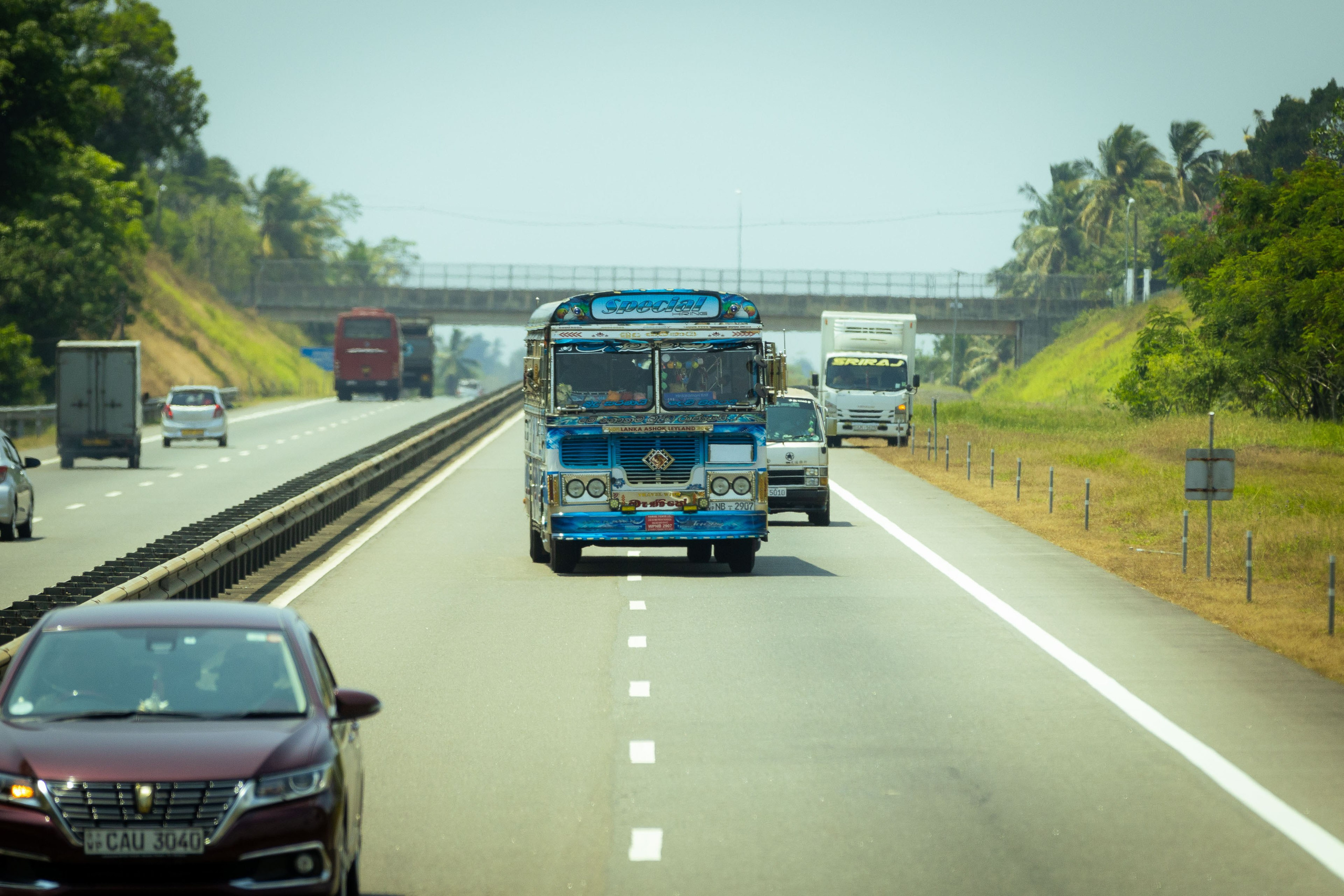 Шри-Ланка (весна 2024). Фотограф Виноградов Константин