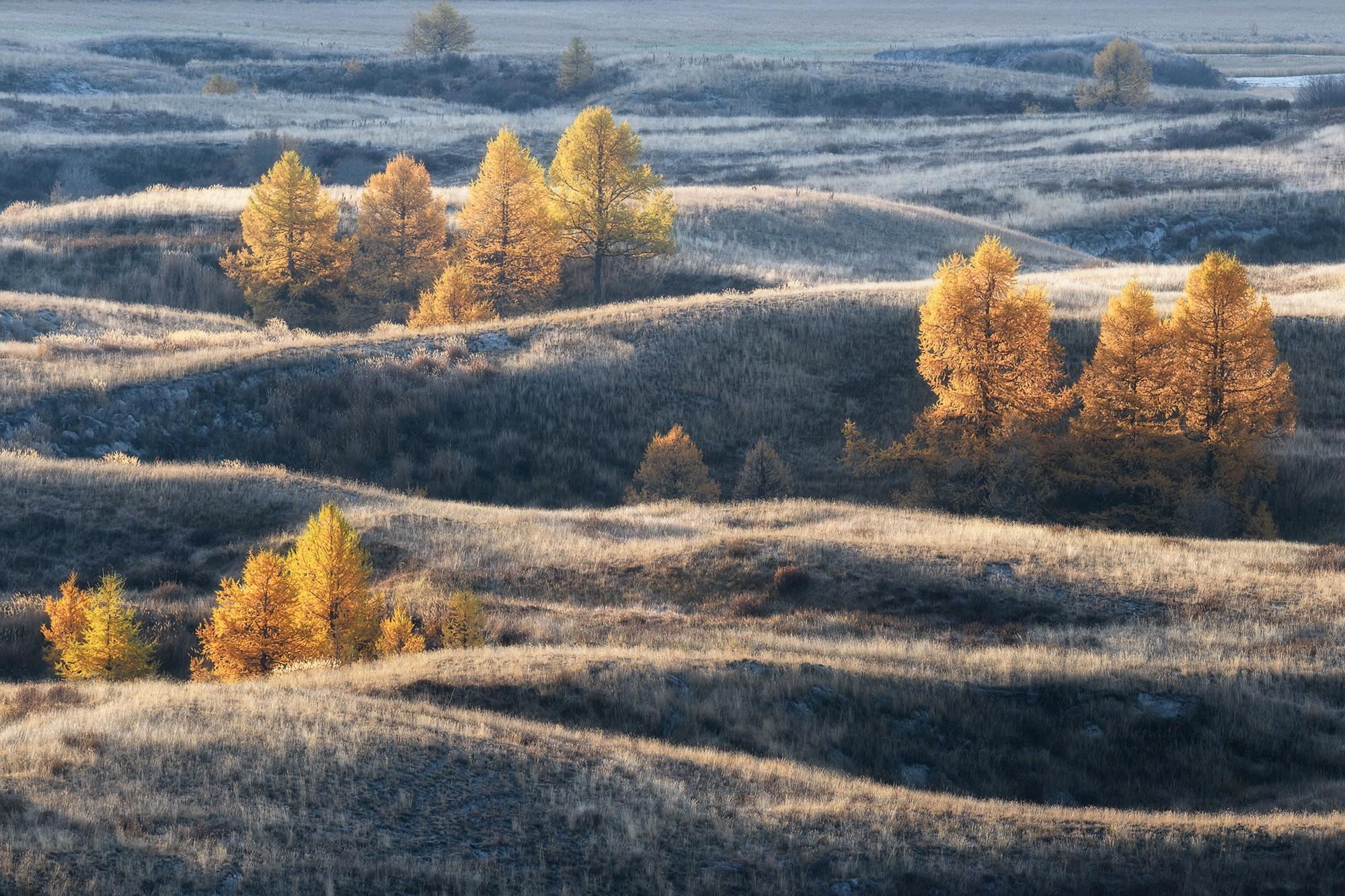 Состояния природы. Профессиональный пейзажный фотограф Алёна Рубан
