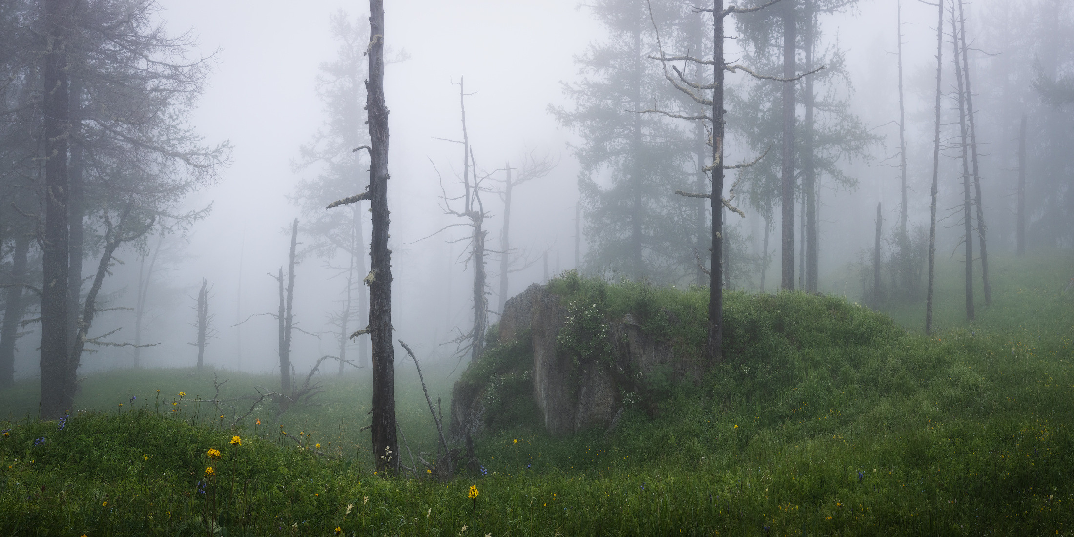 Состояния природы. Профессиональный пейзажный фотограф Алёна Рубан