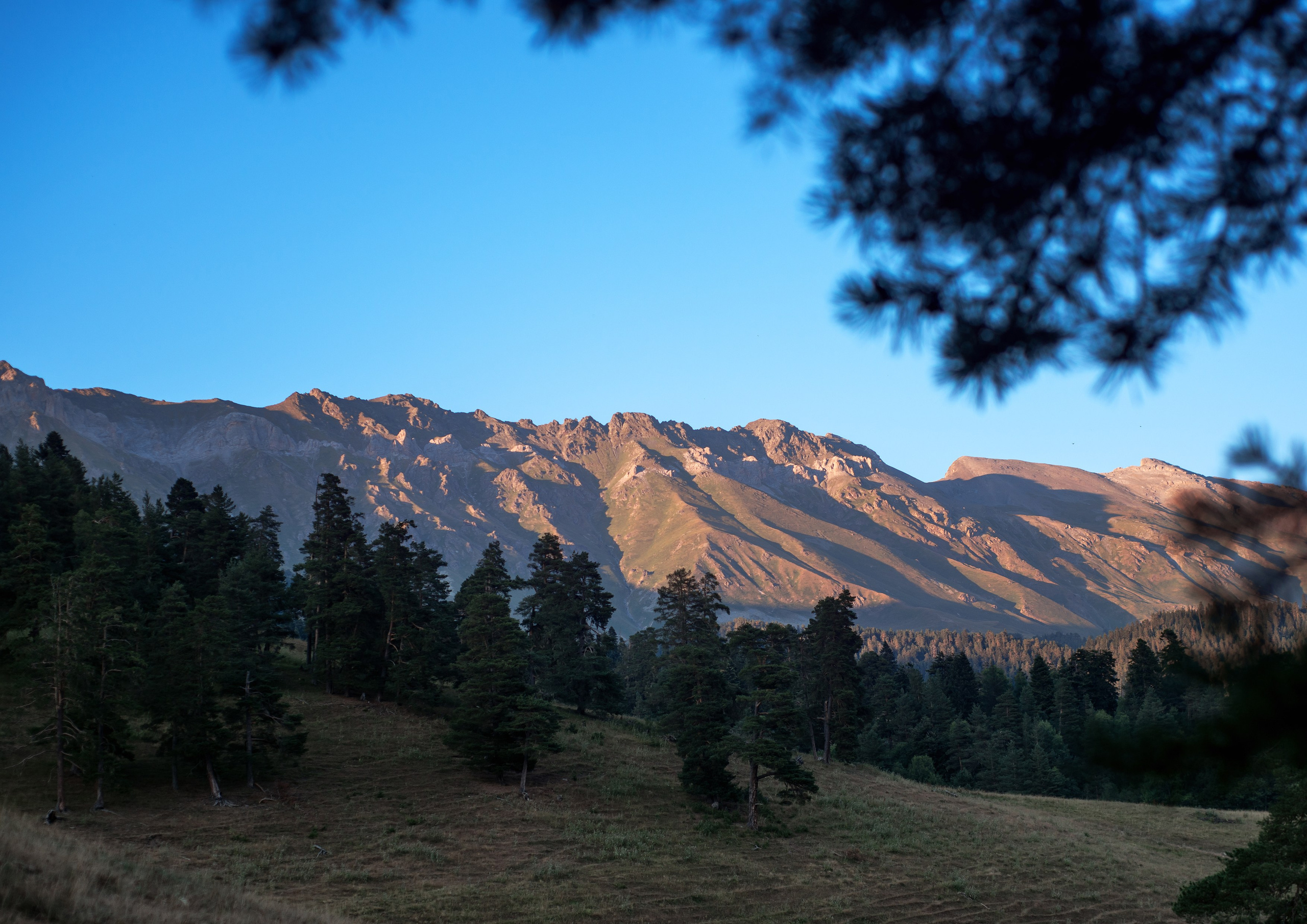 Пейзажи. Фотограф в Санкт-Петербурге Мария Мельникова