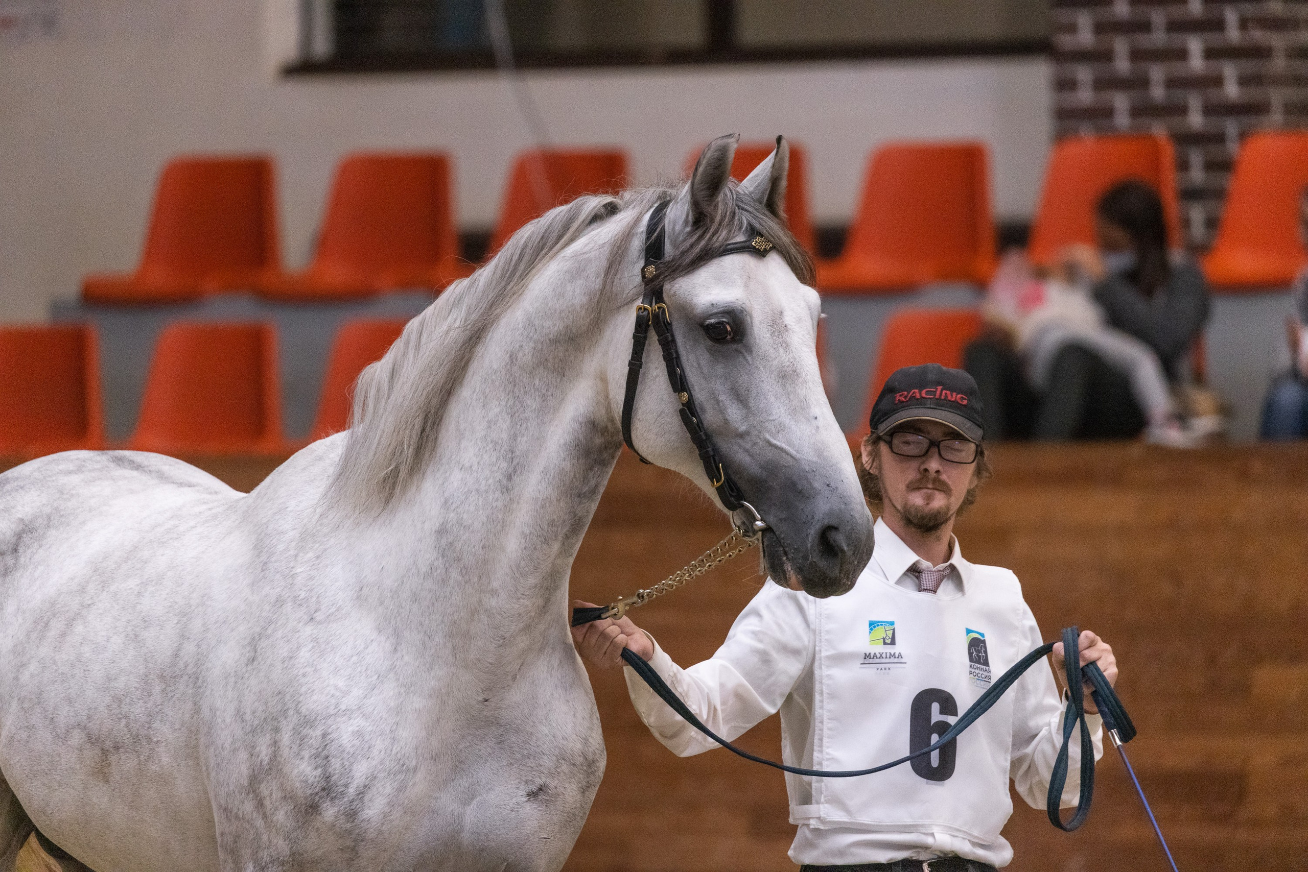 Конные выставки. Mrs.Aquarelia Конный фотограф Марианна Леонтьева