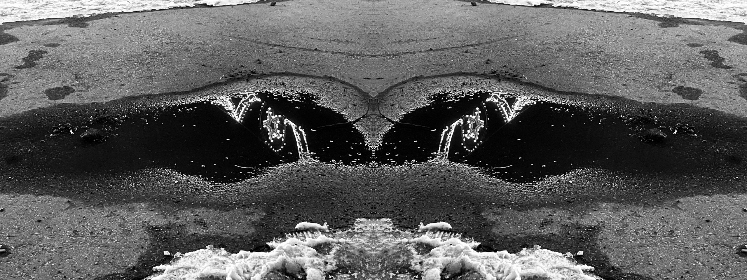 Urban flowers. Арт — фотограф Евгений Наймушин Новокузнецк