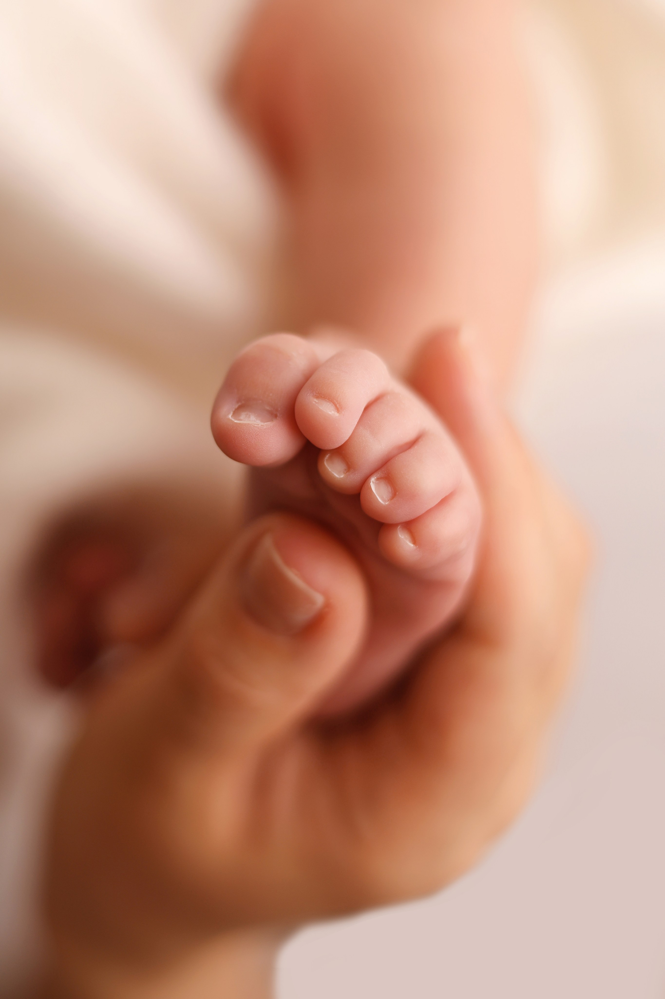 Платон, пакет Лайт. Фотограф новорожденных Москва. Ньюборн фотограф Москва