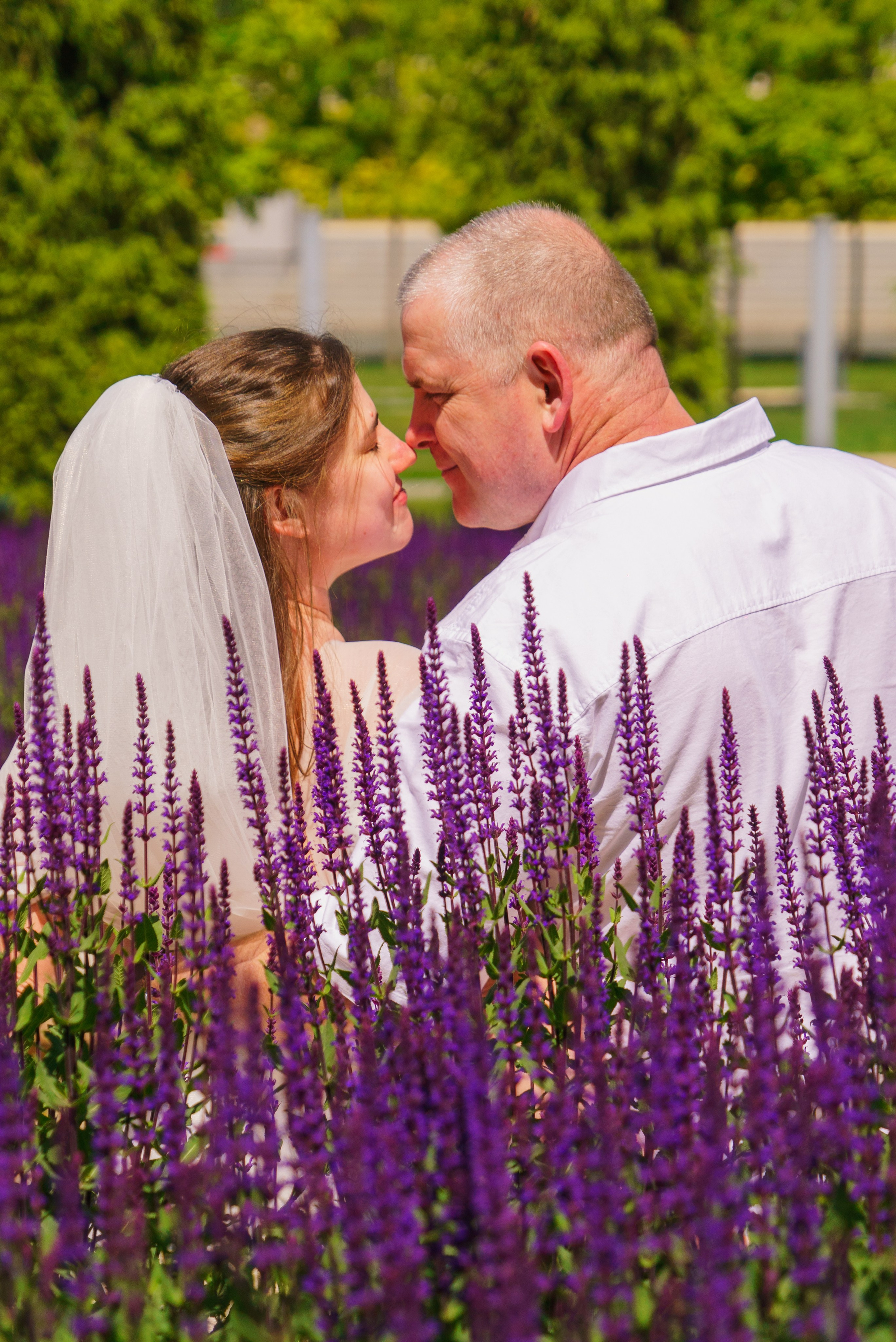 Виктория и Александр. Свадебная фотосессия. Шедевры для Вас! Фотограф и Видеограф в Краснодаре Пахиев Руслан