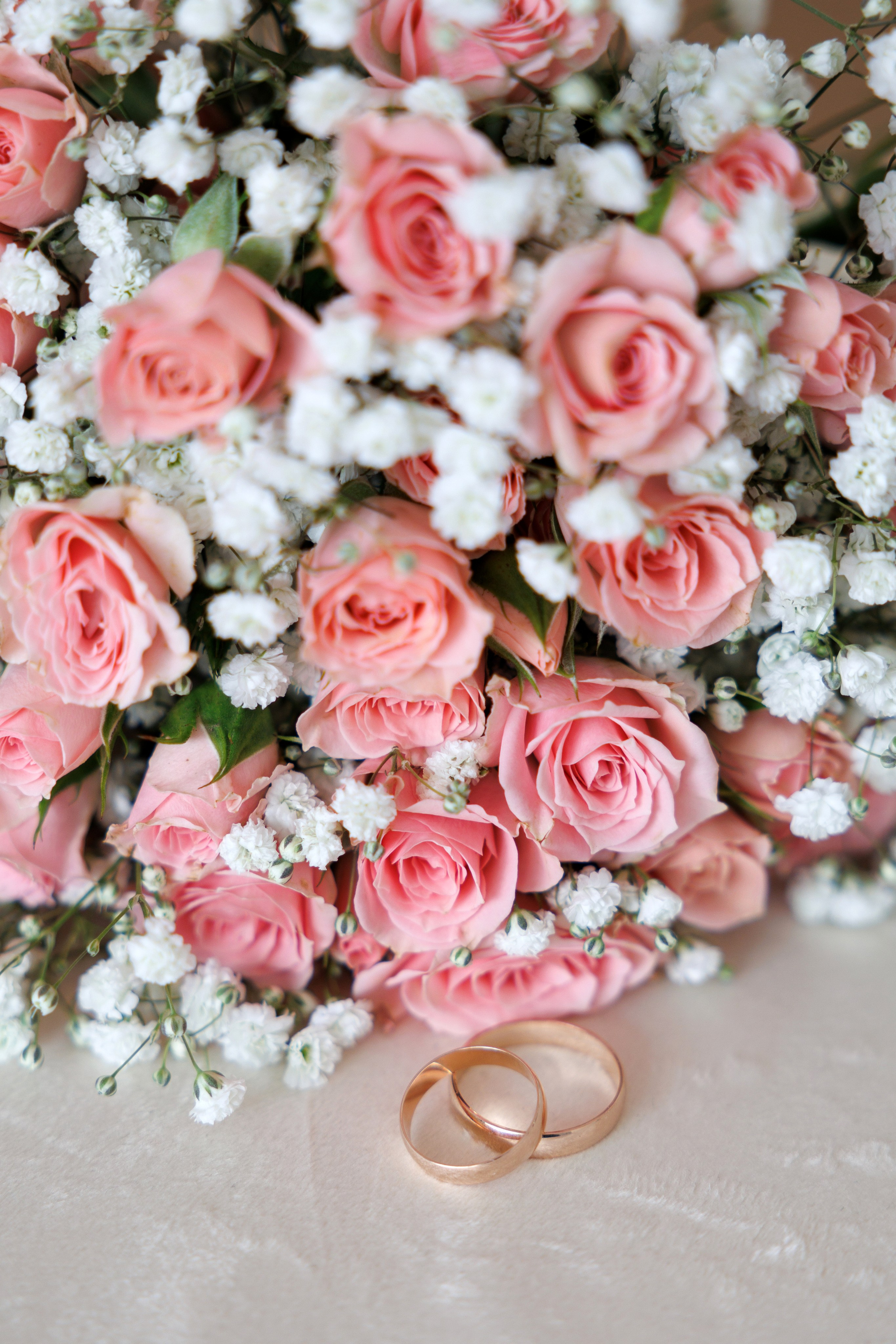 Сергей и Светлана. Свадебный, семейный и школьный фотограф в Кургане