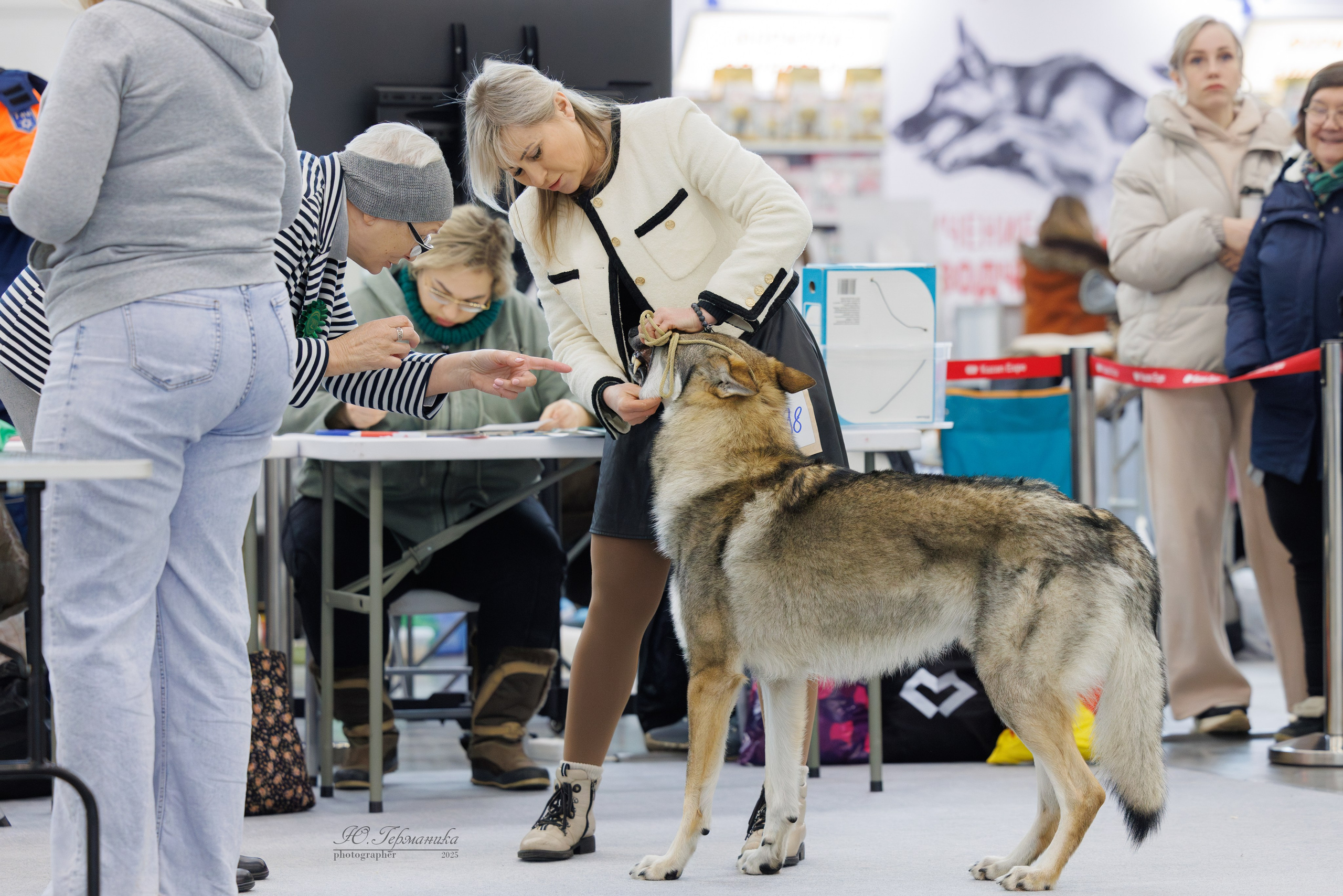 Сабанеевка Казань 25-26.01.2025. Фотограф-анималист Юлия Германика