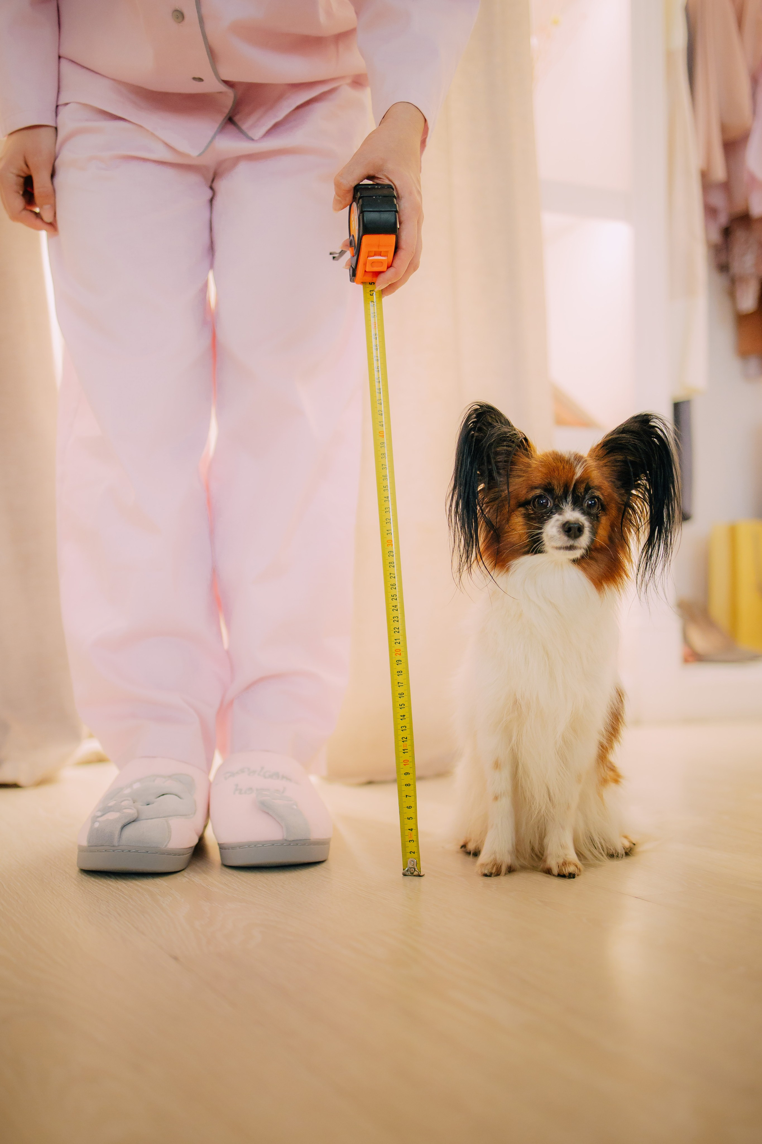 Султан, Мэй Мэй и Шанталь и их семья