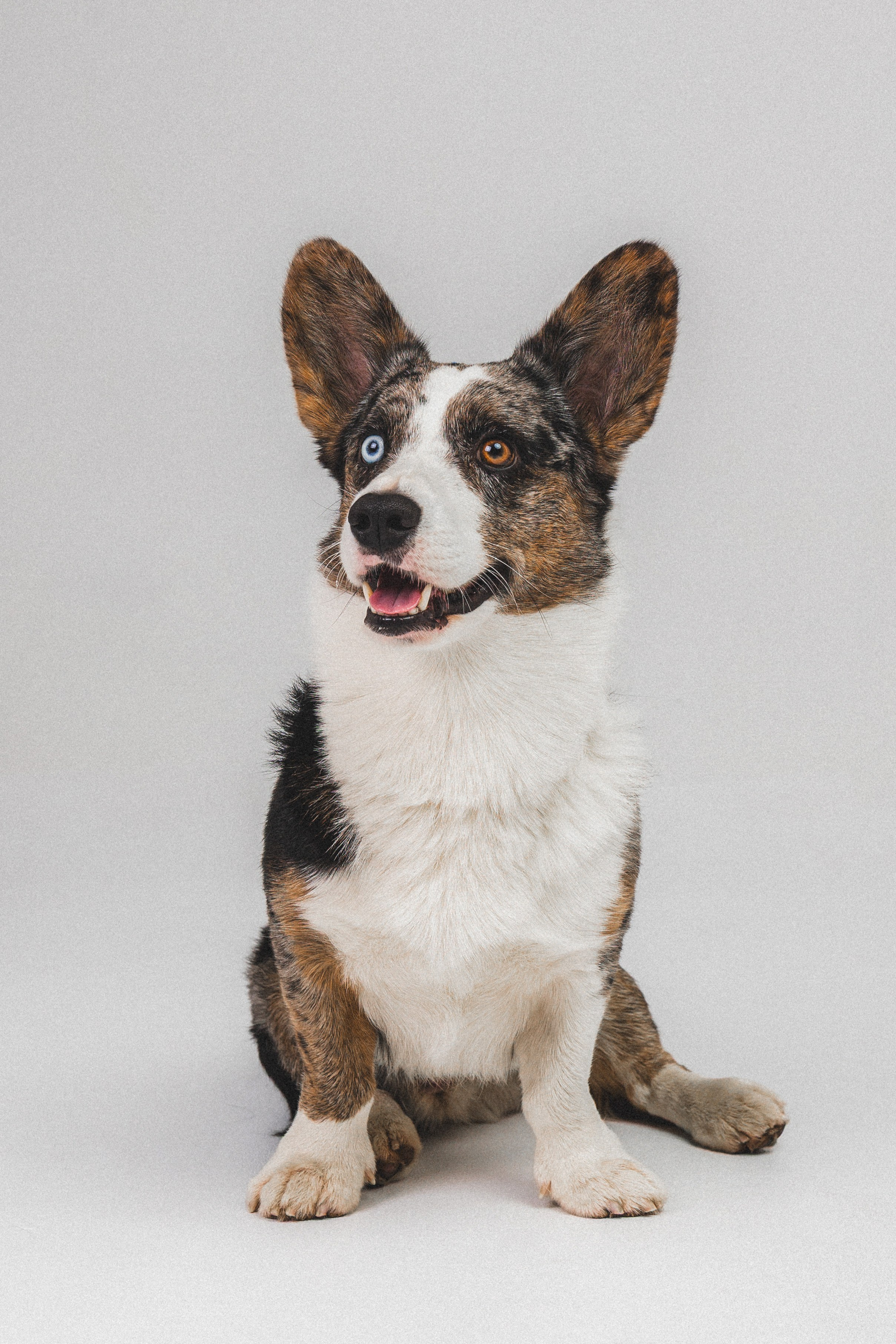 Анатолий и Рагнар