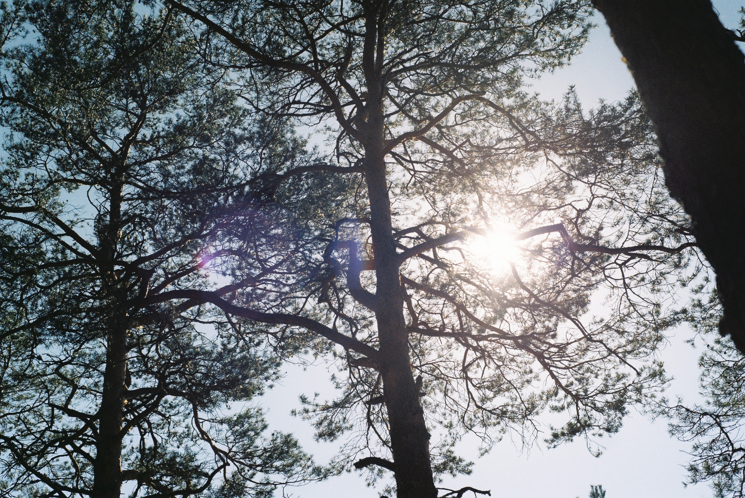 Film. Ruslan UI Dev Page