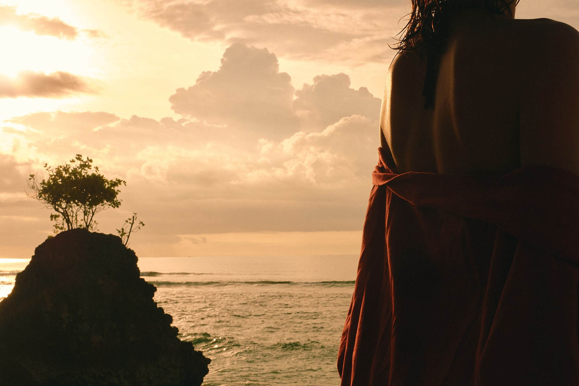 SUN. Виолетта Скрипка