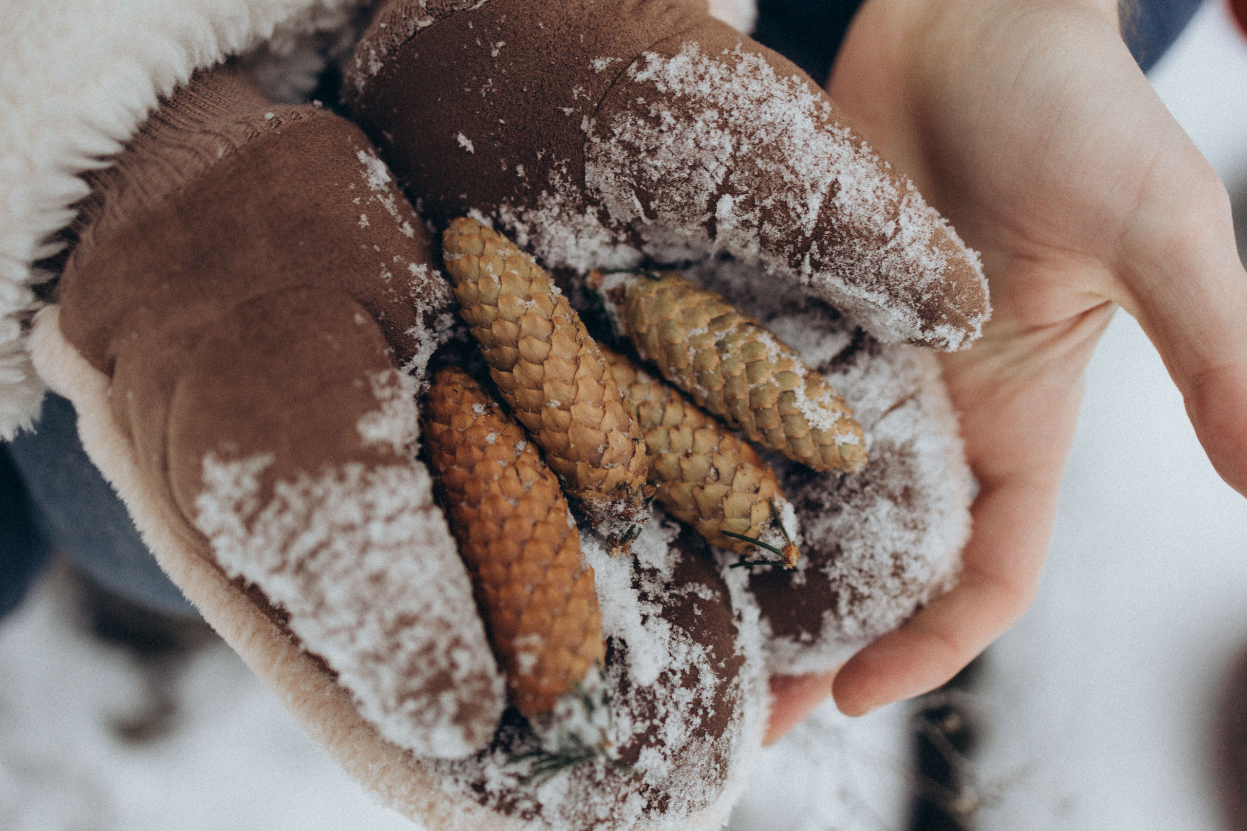Фотограф Валерия Ковпак. Москва. Химки. Куркино
