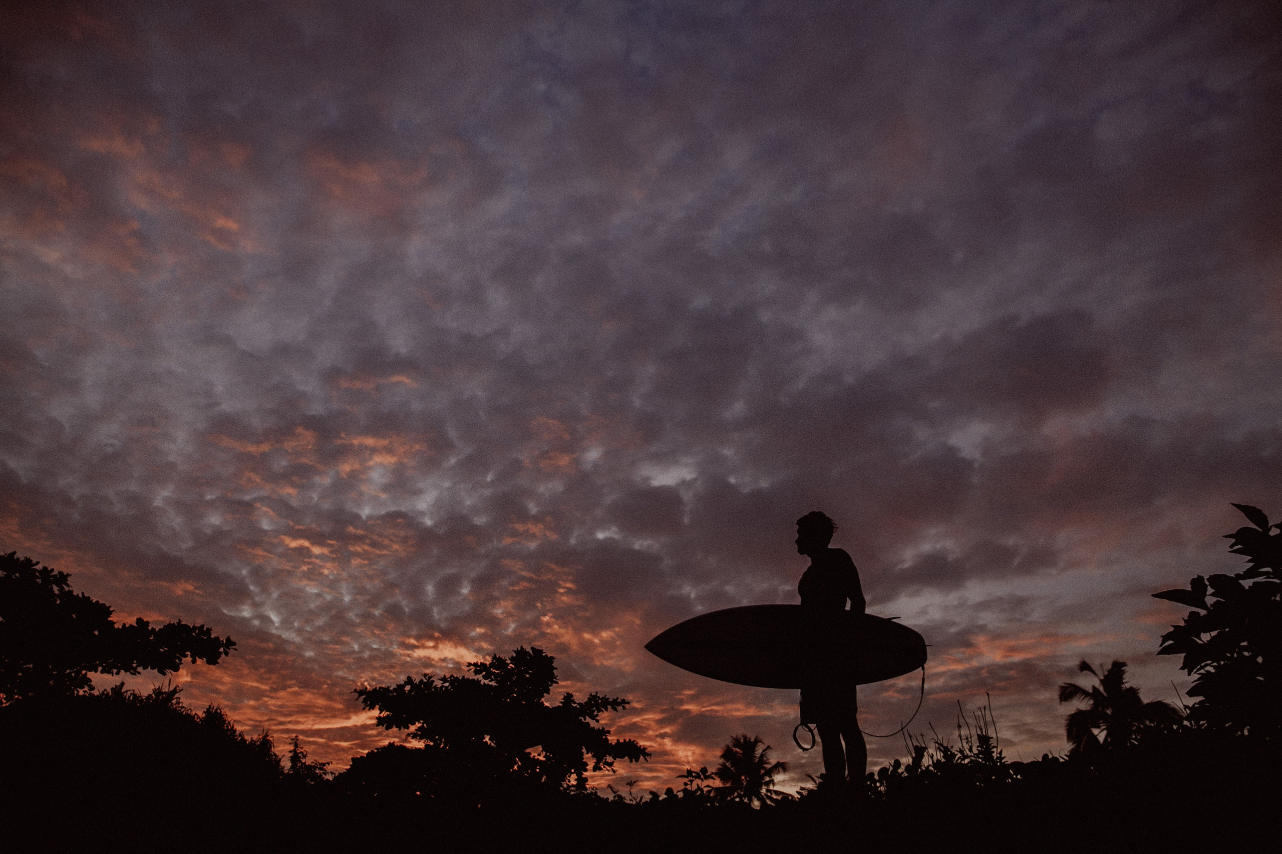 Janik. Wedding photographers Tbilisi Georgia Alex and Polly