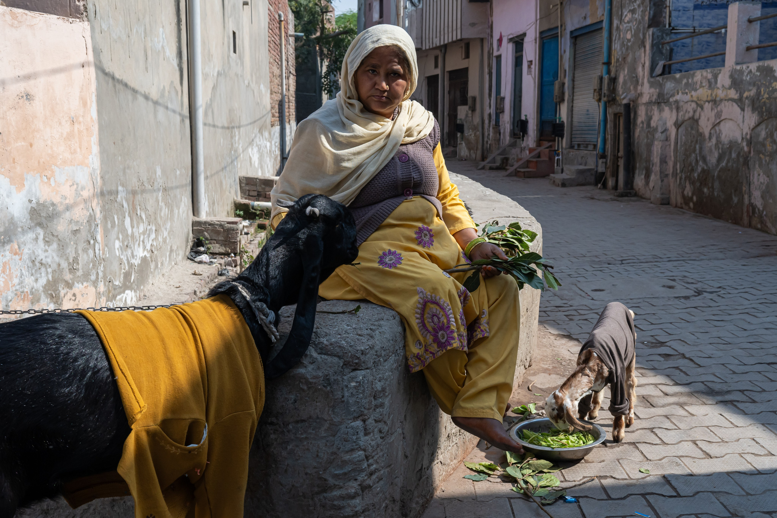 India 2024-2025. Dimitri Bakhtadze photographer