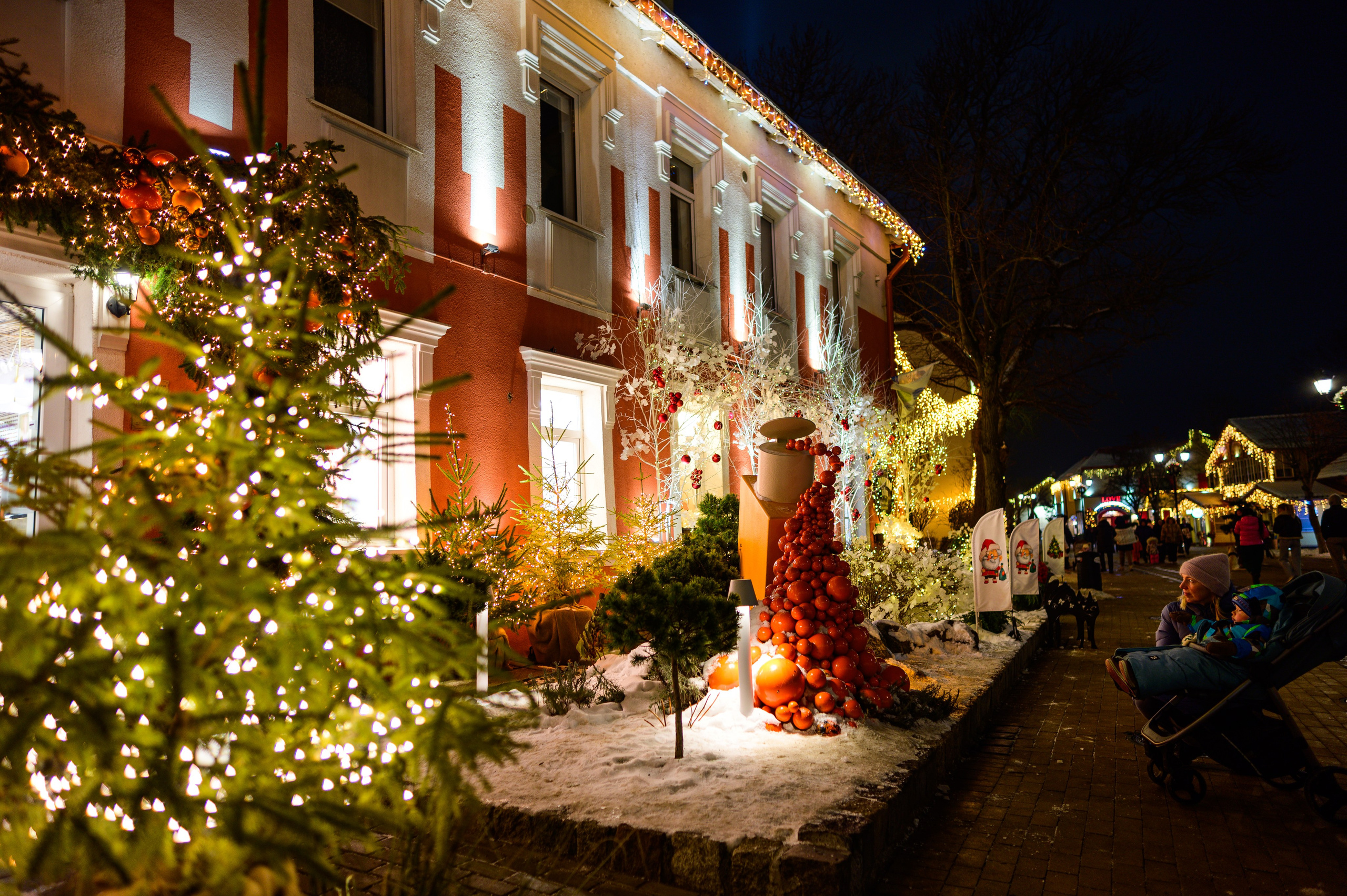 Зимняя Калининградская область. Фотосъемка и видеосъемка в Калининграде Liveemotion.pro