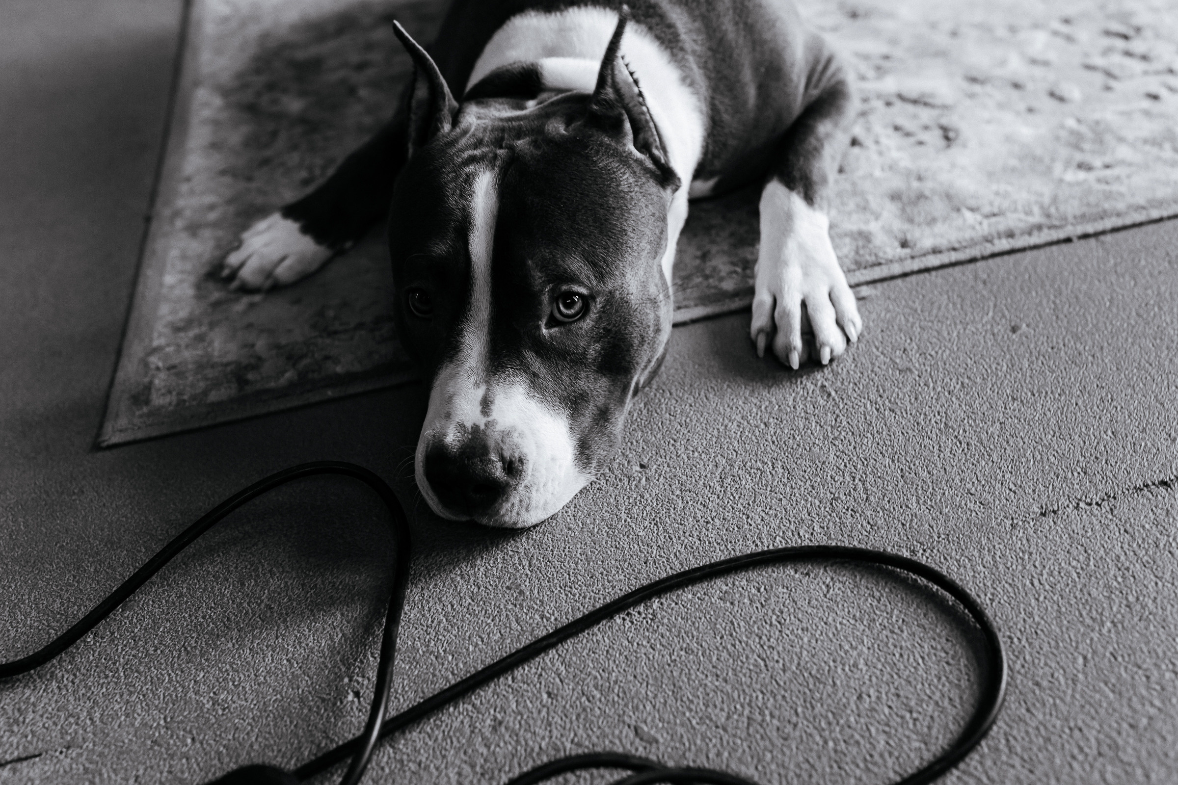 Любовь. Свадебный, семейный фотограф Беларусь