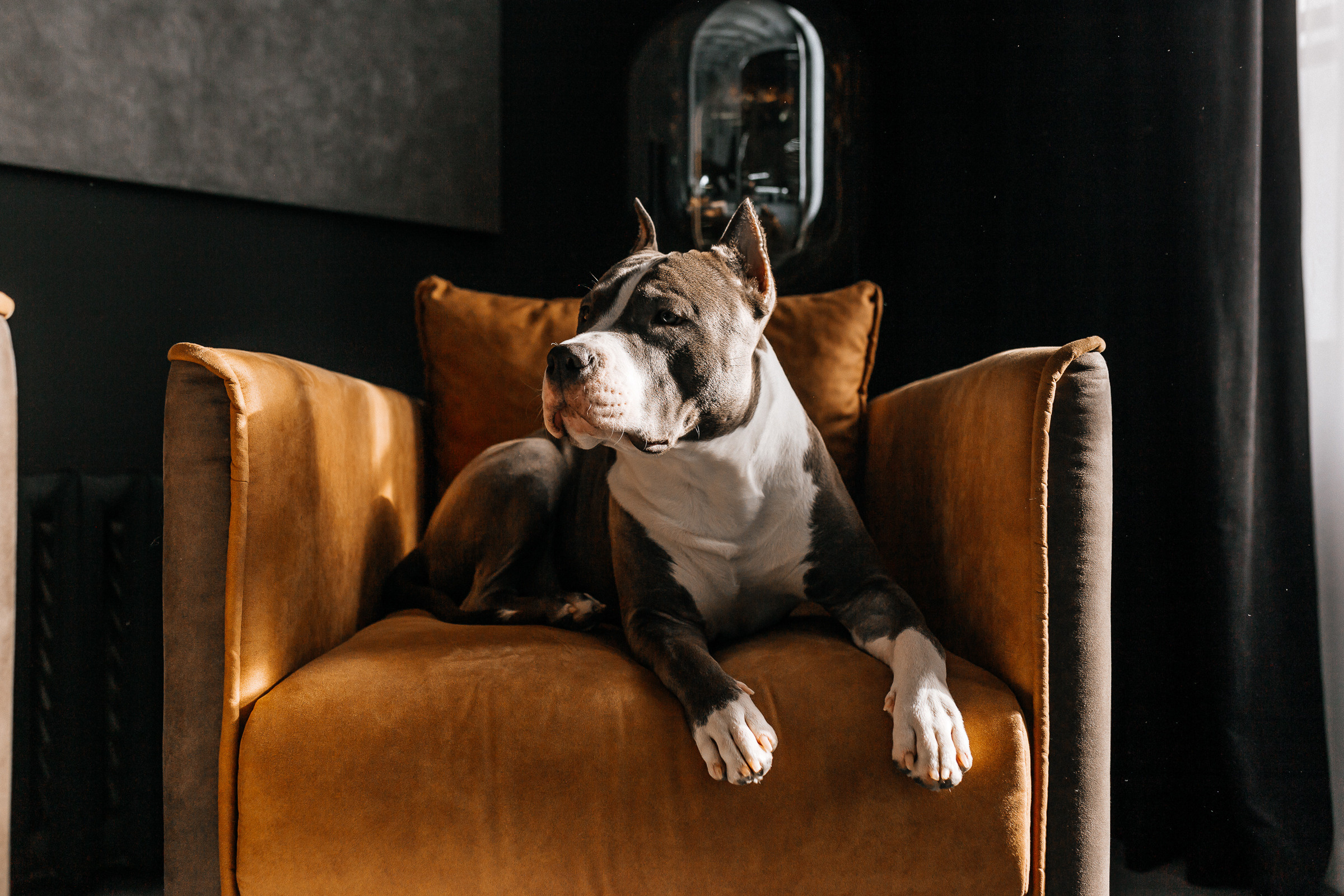 Любовь. Свадебный, семейный фотограф Беларусь